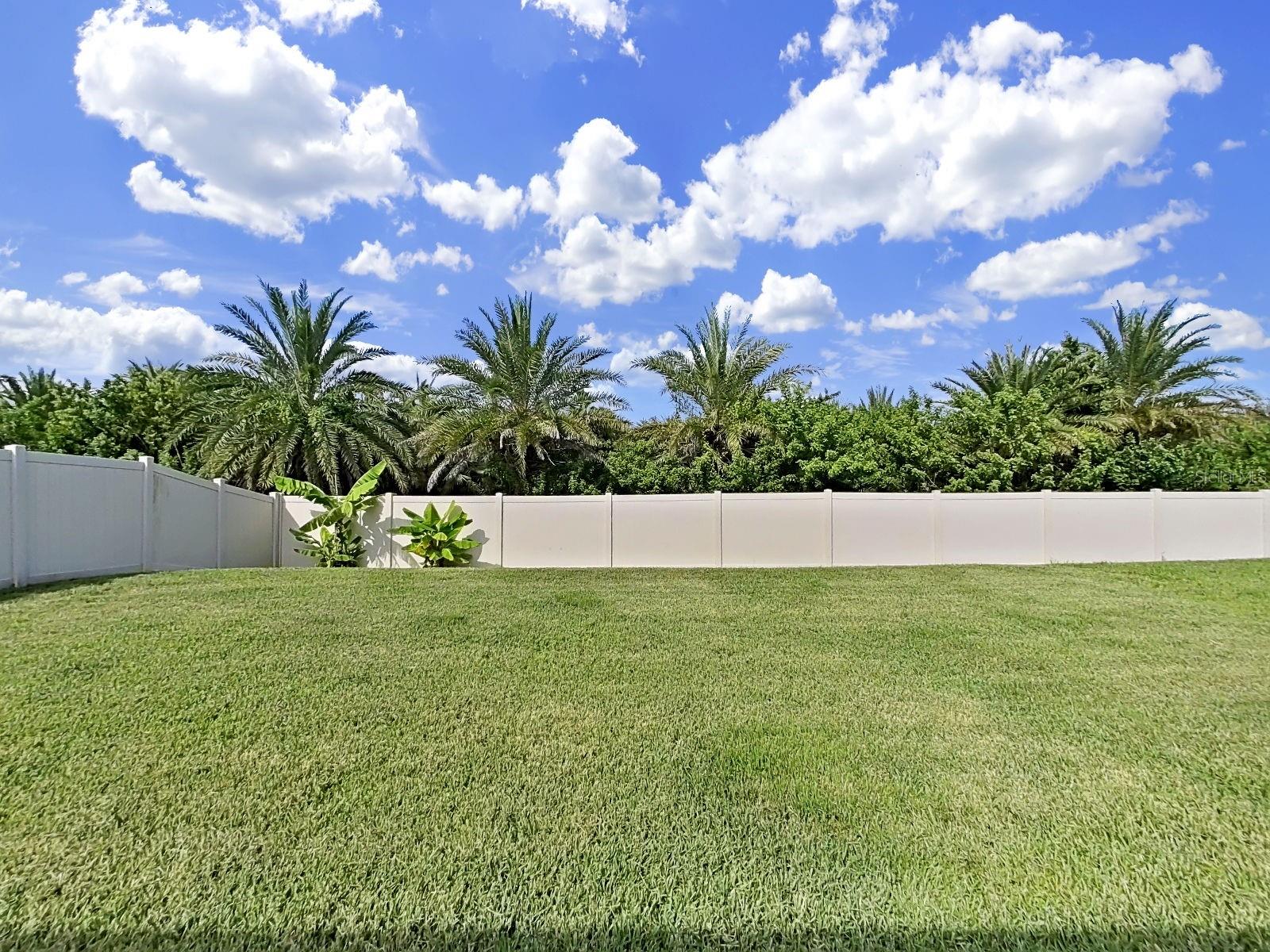 5037 White Chicory Dr Property Photo 35