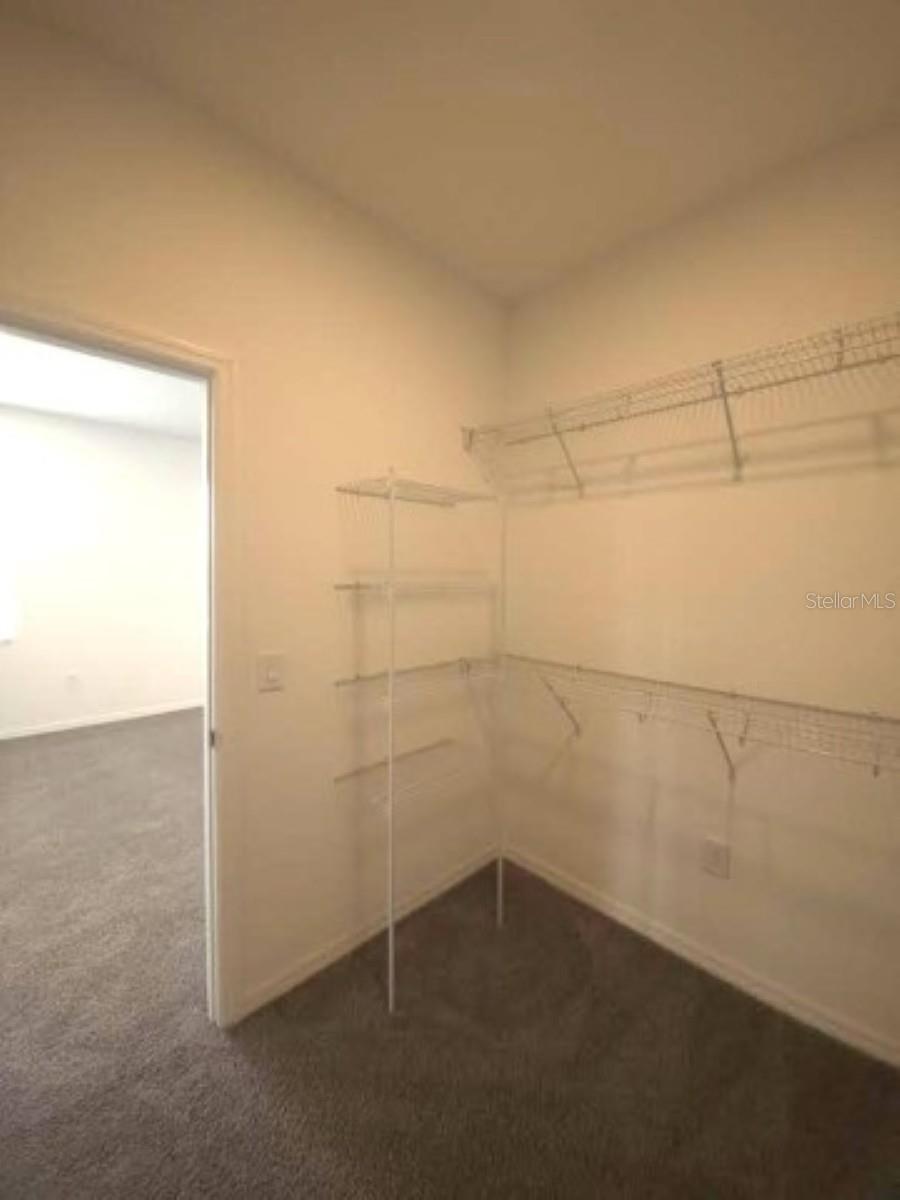 10715 New Morning Dr Property Photo 17