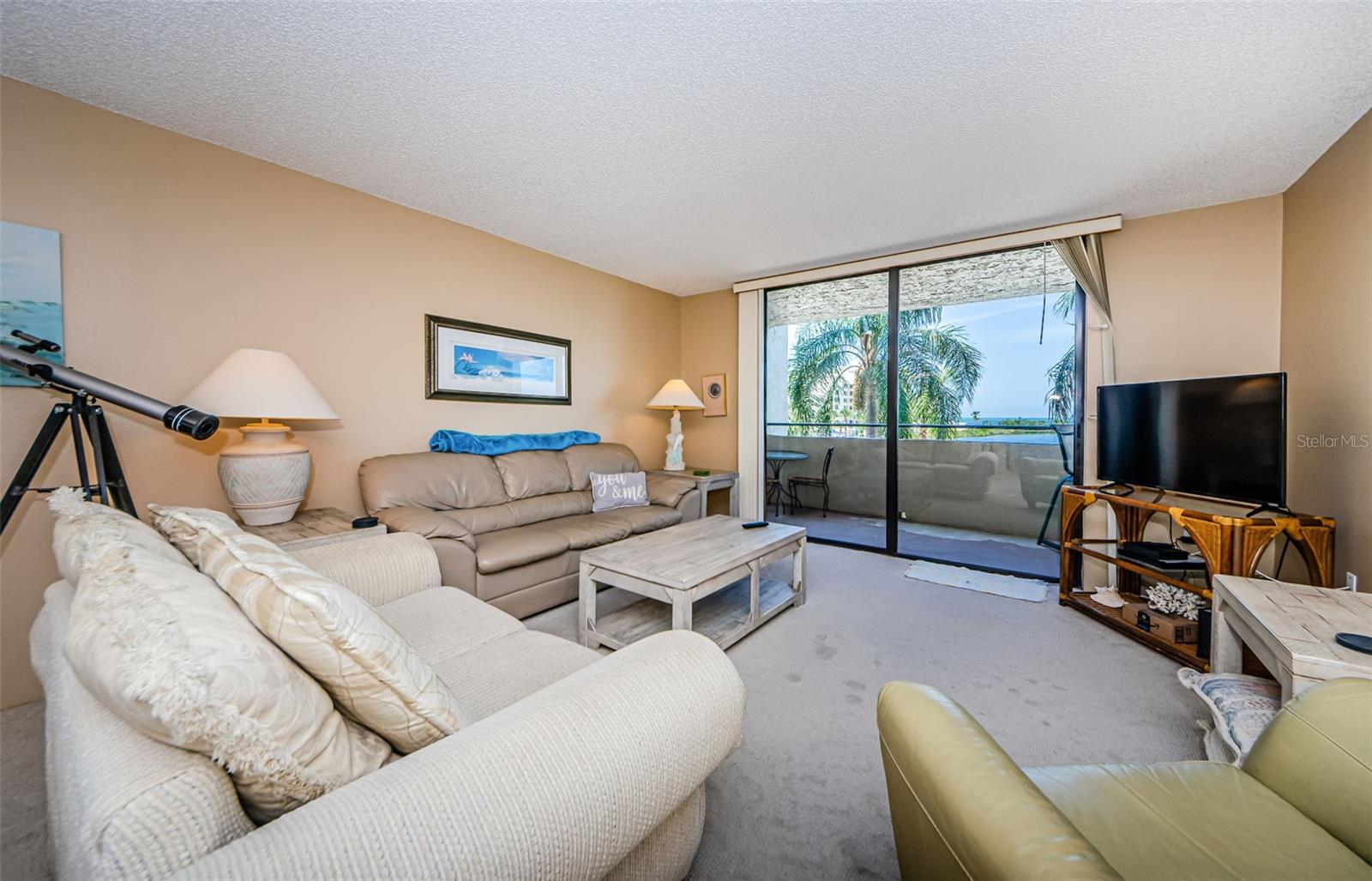 6035 Sea Ranch Dr #201 Property Photo 9