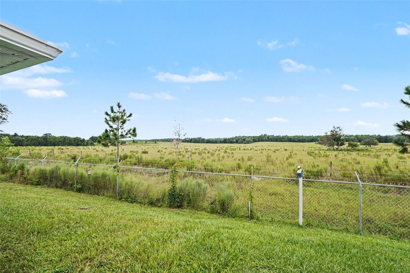 10541 S Drew Bryant Cir Property Photo 29