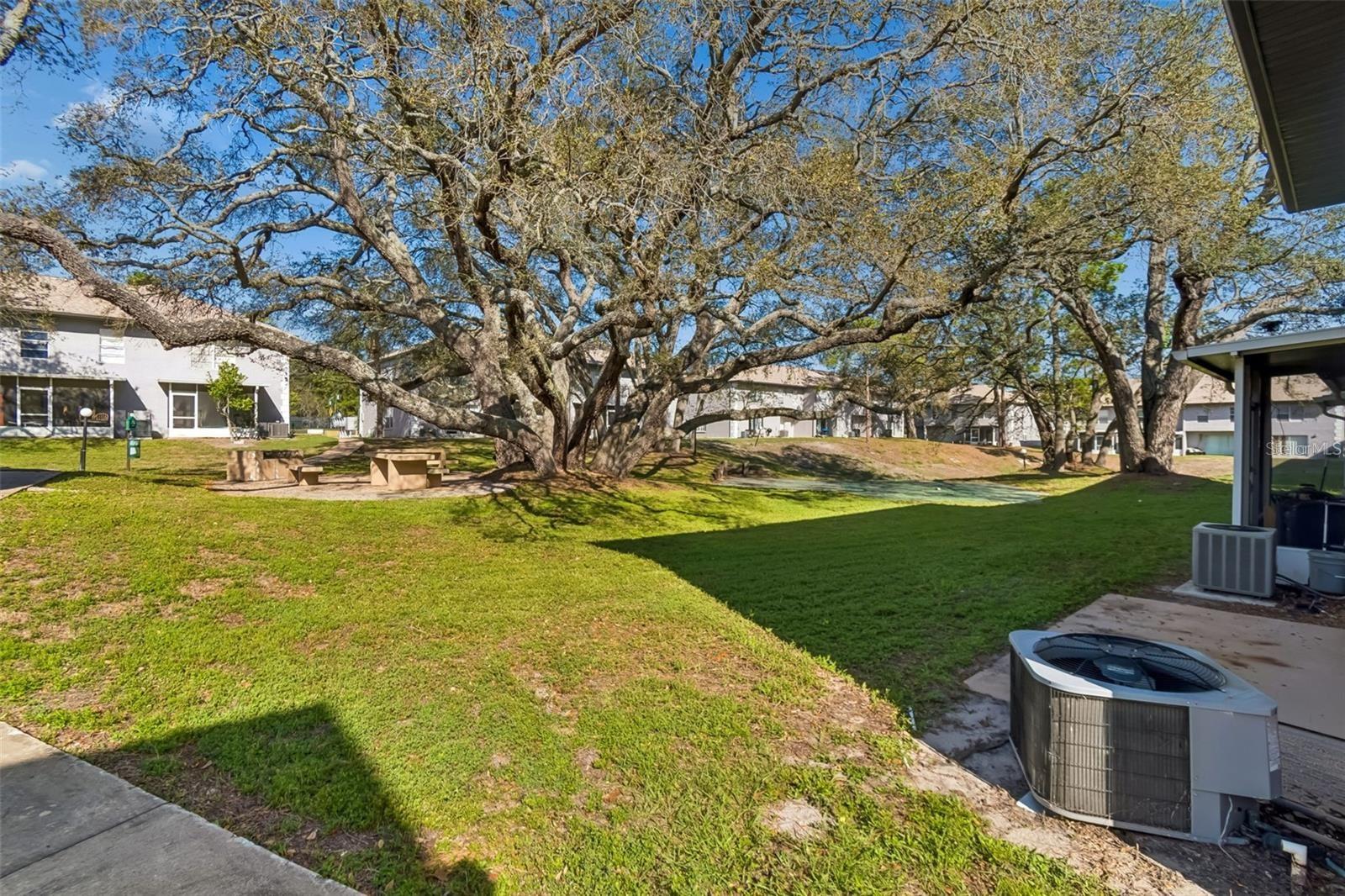 5182 Sunridge Palms Dr #5182 Property Photo 62