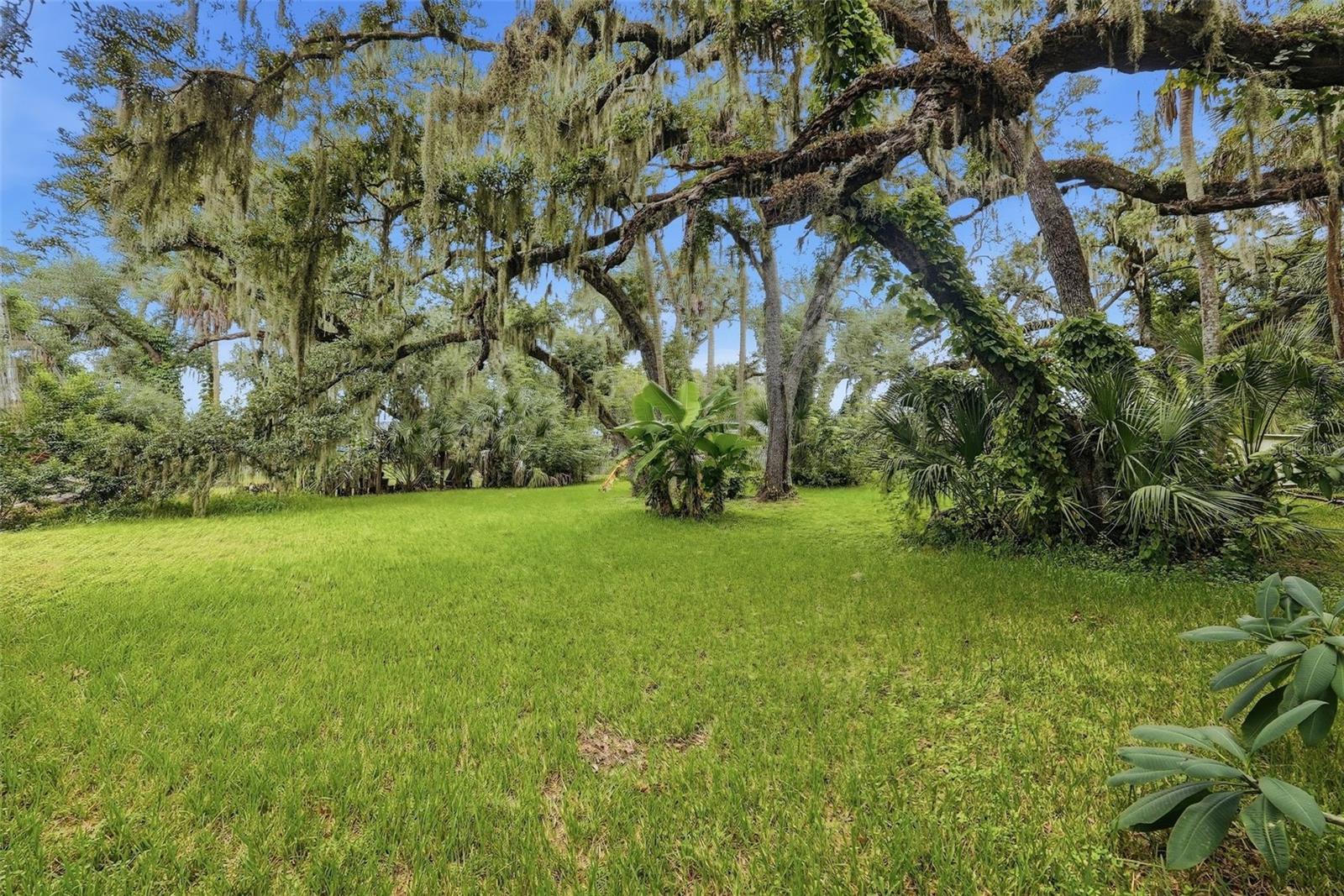 1411 52 St E Property Photo 37