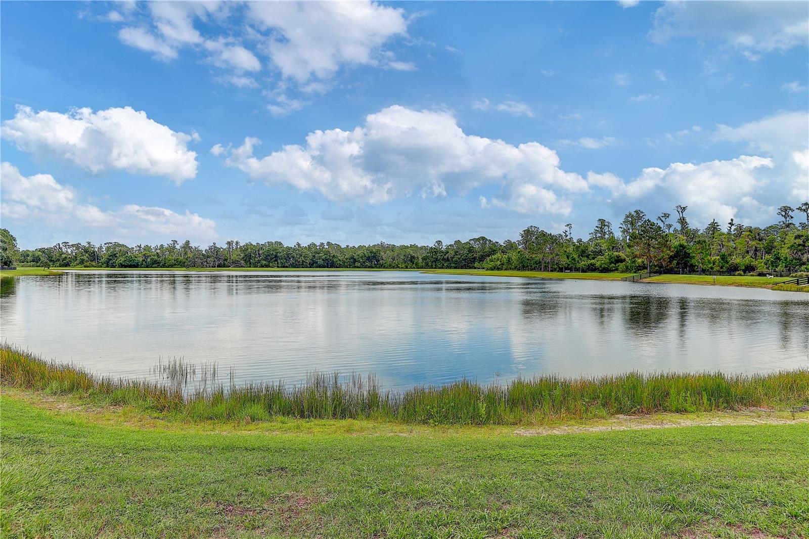 4000 Burdick Loop Property Photo 55