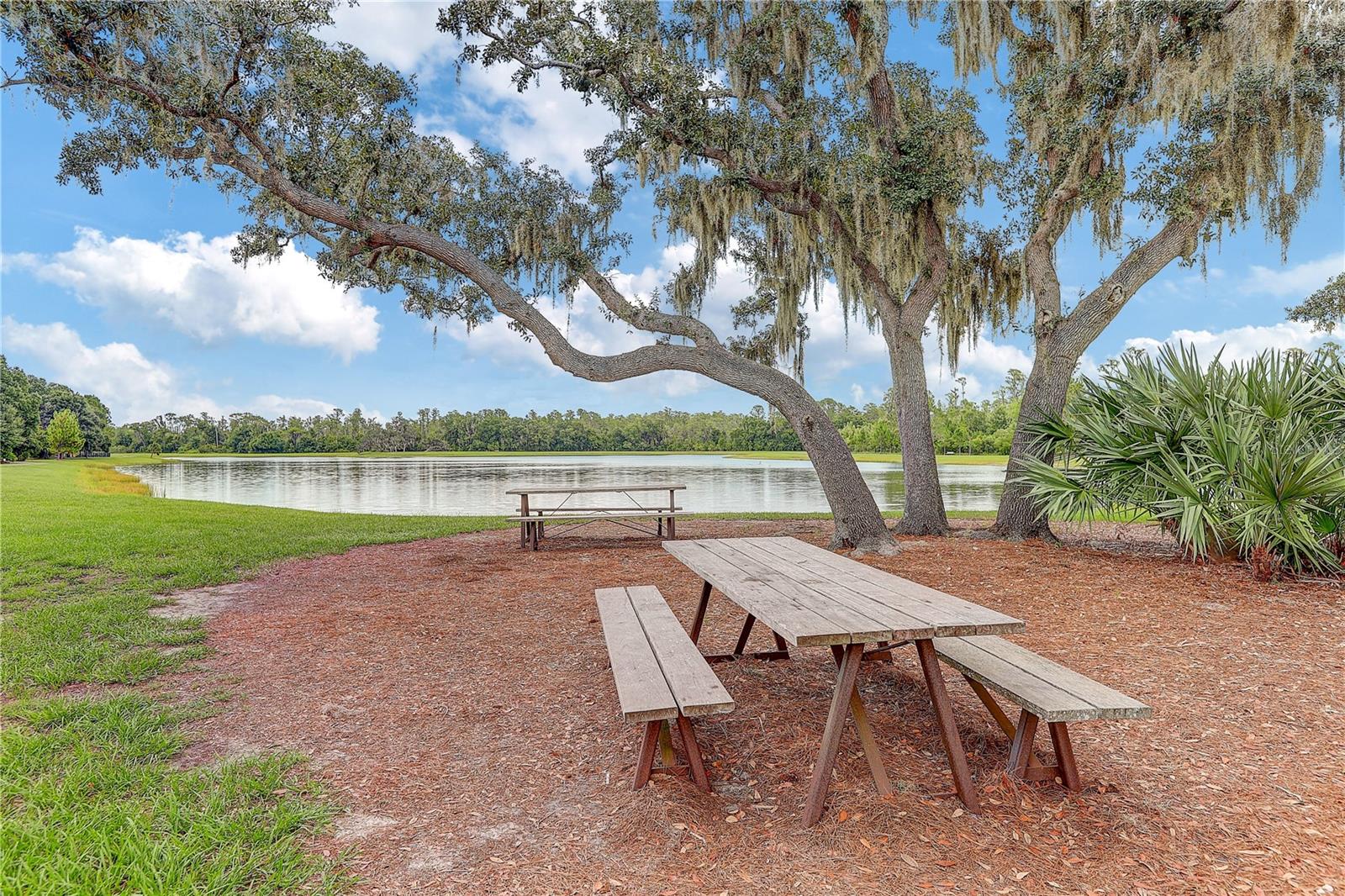 4000 Burdick Loop Property Photo 64