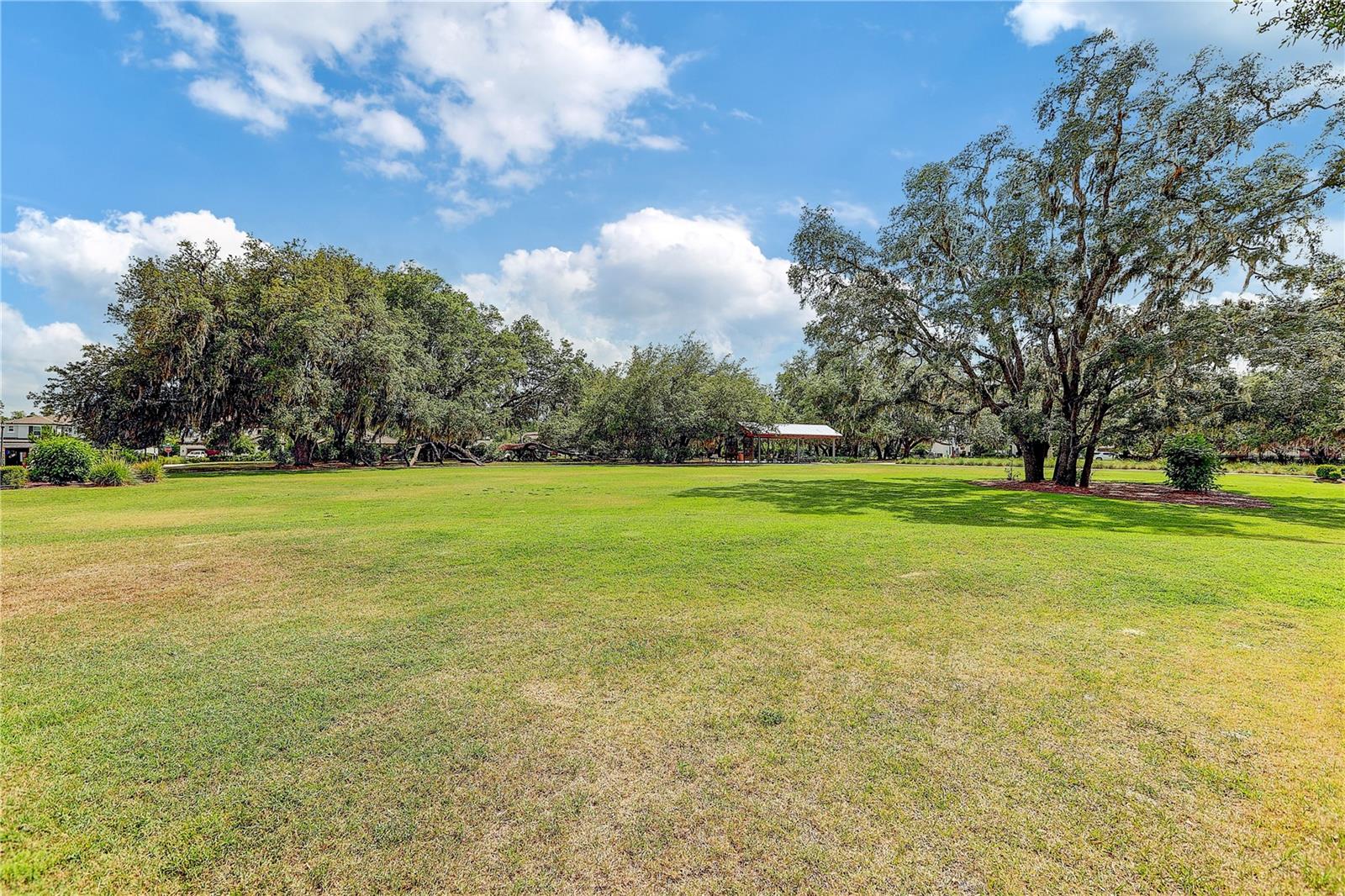 4000 Burdick Loop Property Photo 74