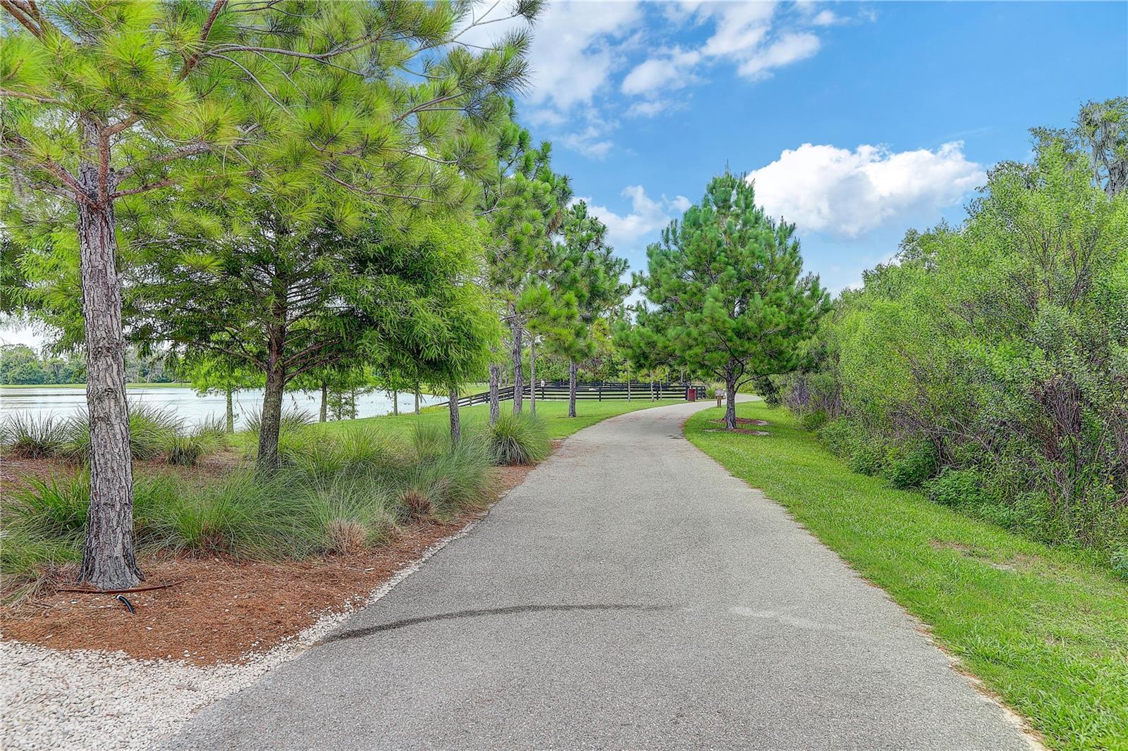 4000 Burdick Loop Property Photo 75