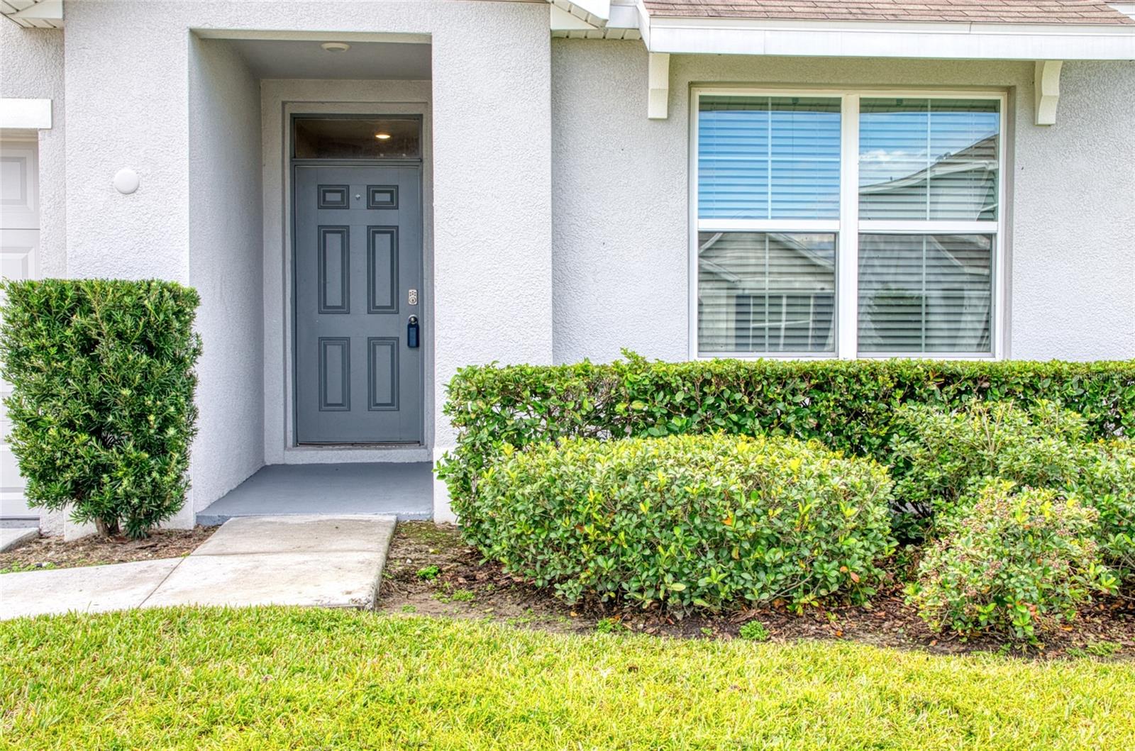 33692 Jasper Stone Dr Property Photo 2