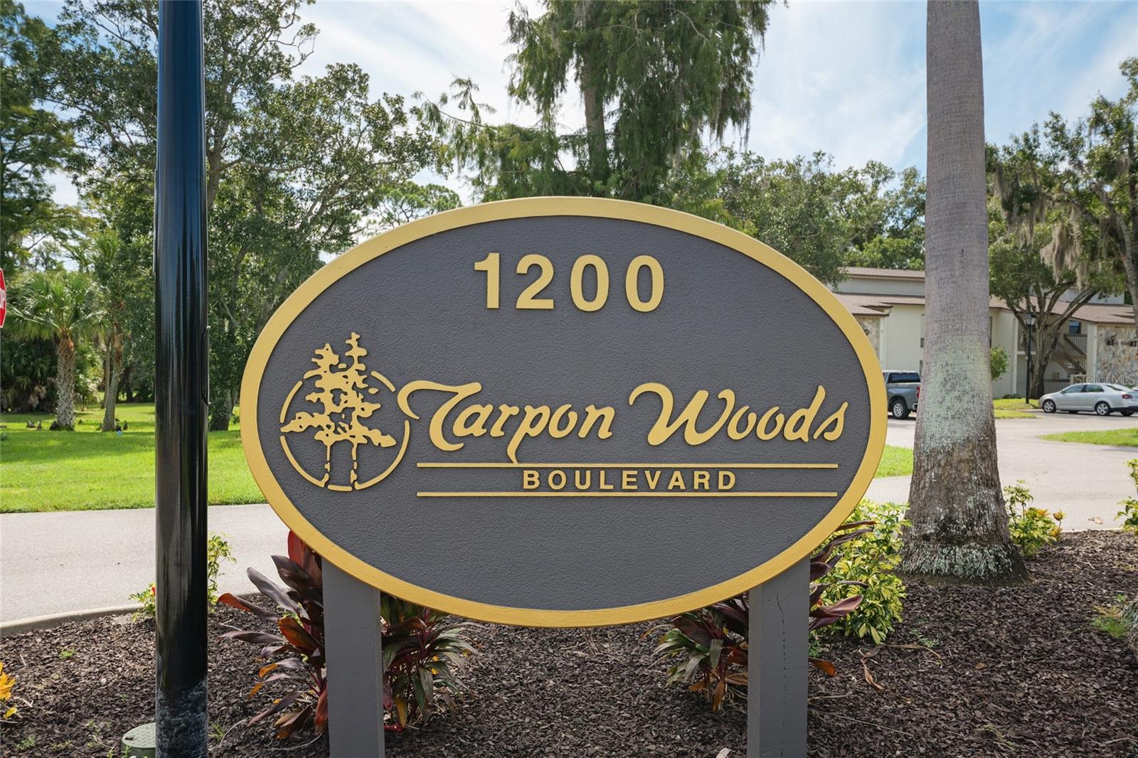1200 Tarpon Woods Blvd #s4 Property Photo 3