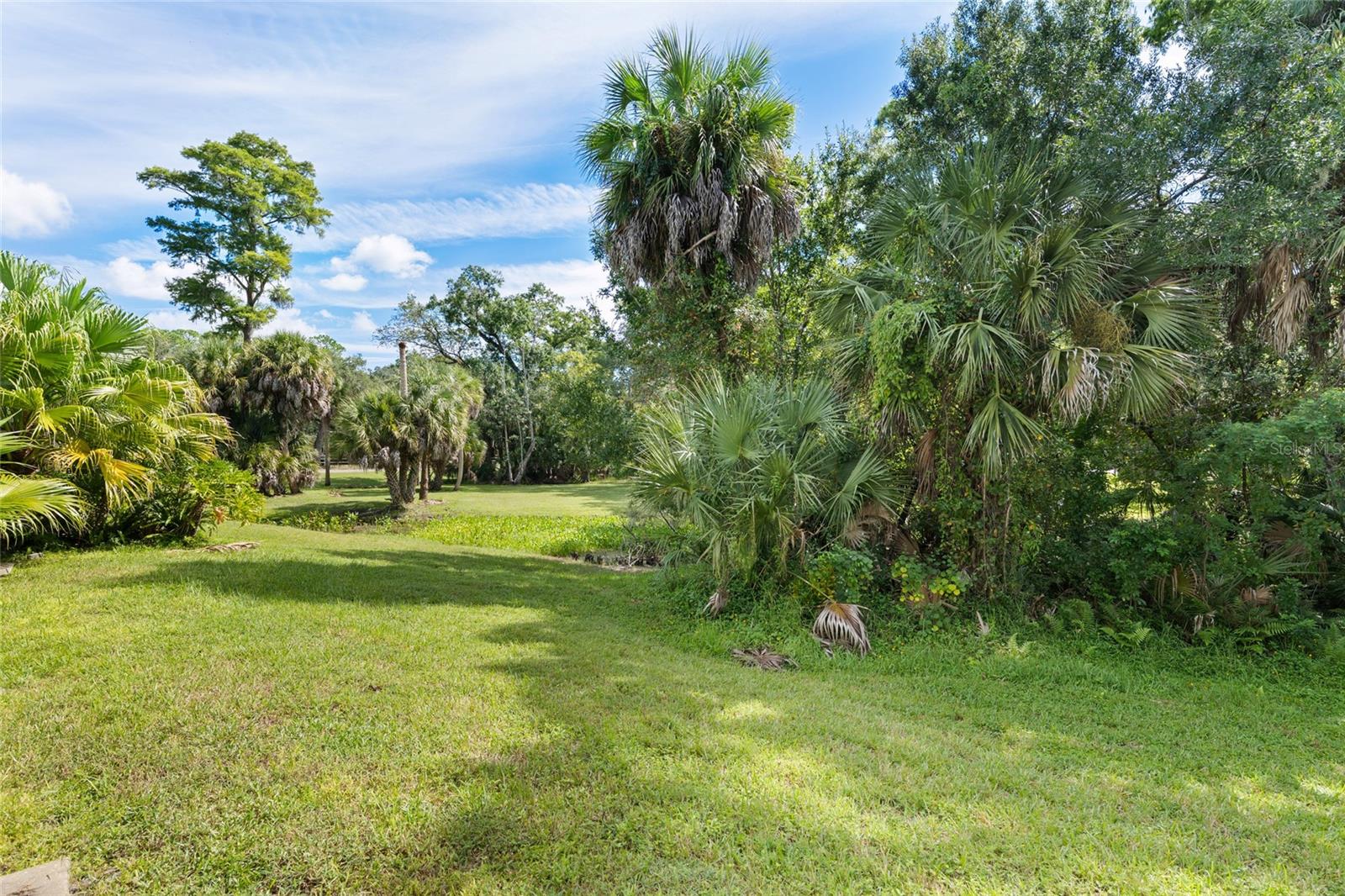 1200 Tarpon Woods Blvd #s4 Property Photo 21