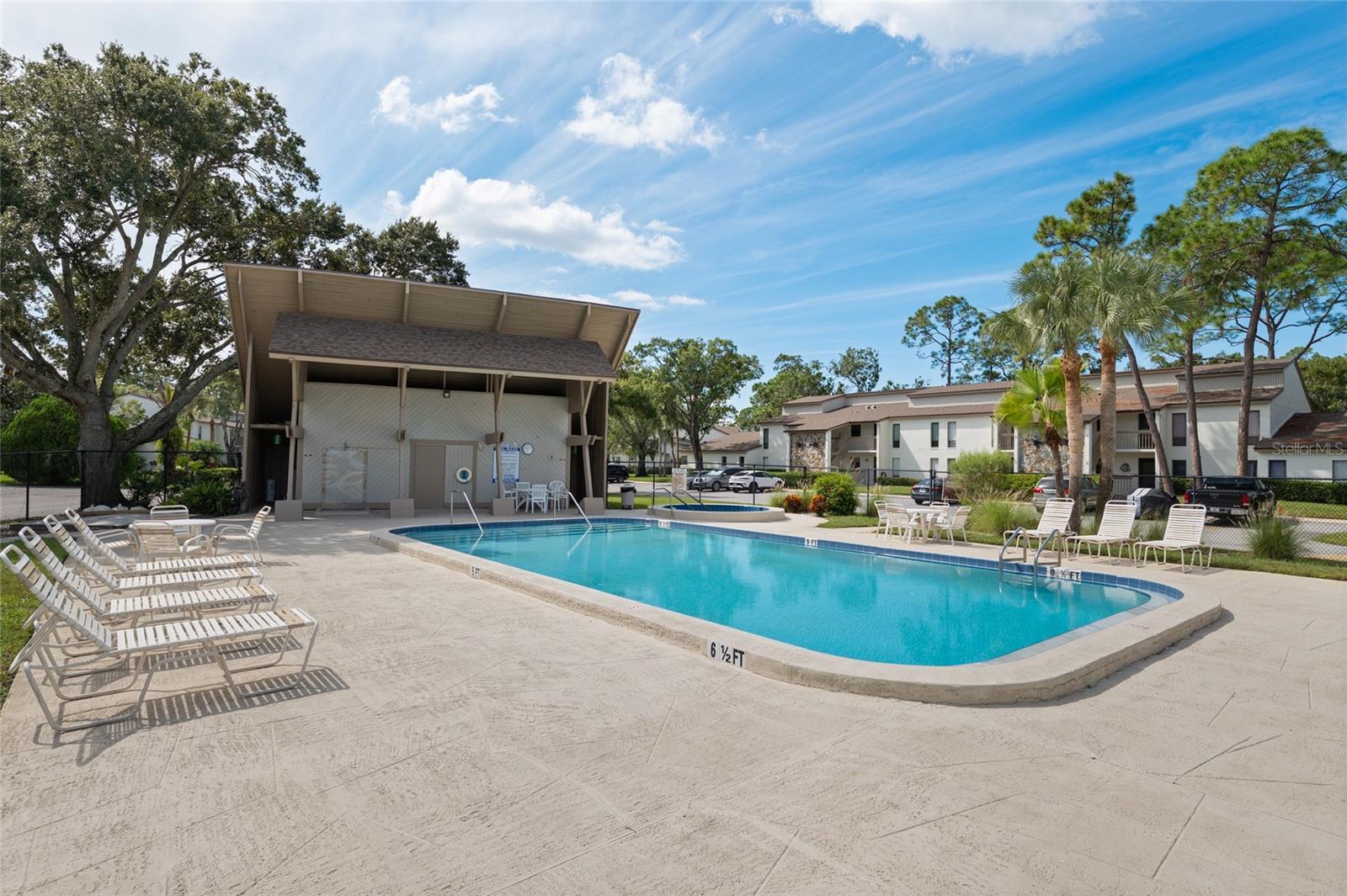 1200 Tarpon Woods Blvd #s4 Property Photo 27