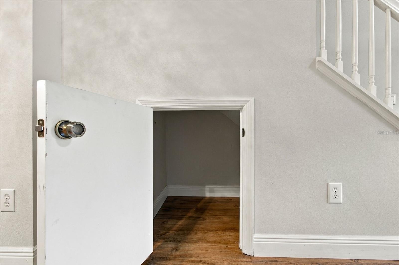 11232 Windsor Place Cir Property Photo 21
