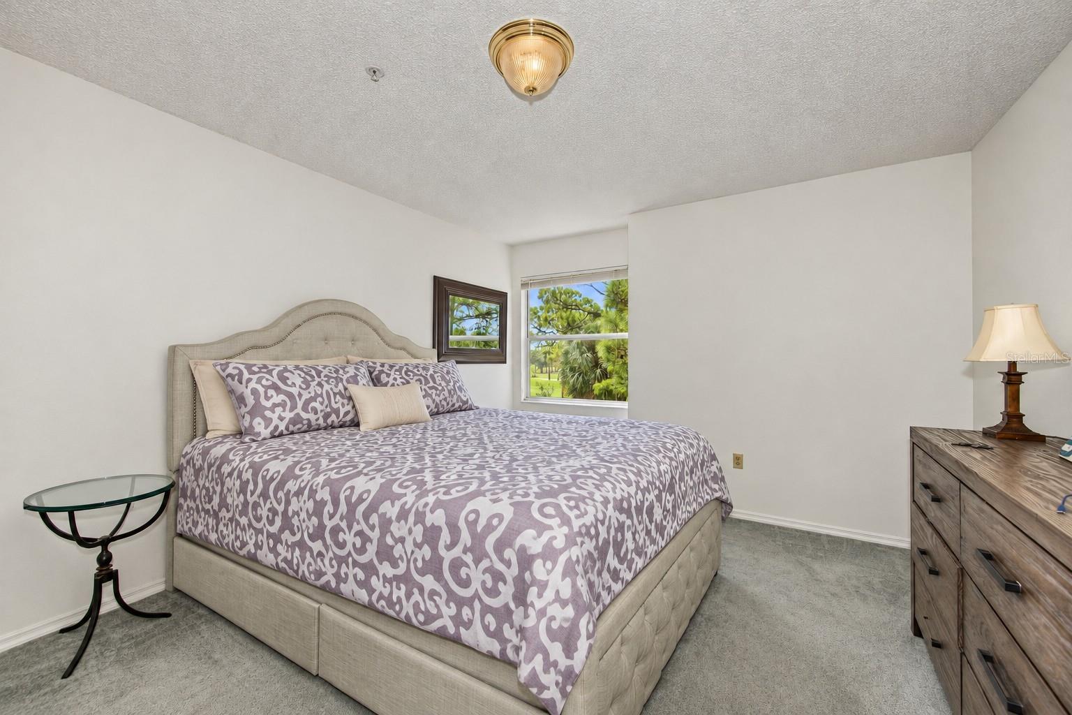 2400 Feather Sound Dr #123 Property Photo 8