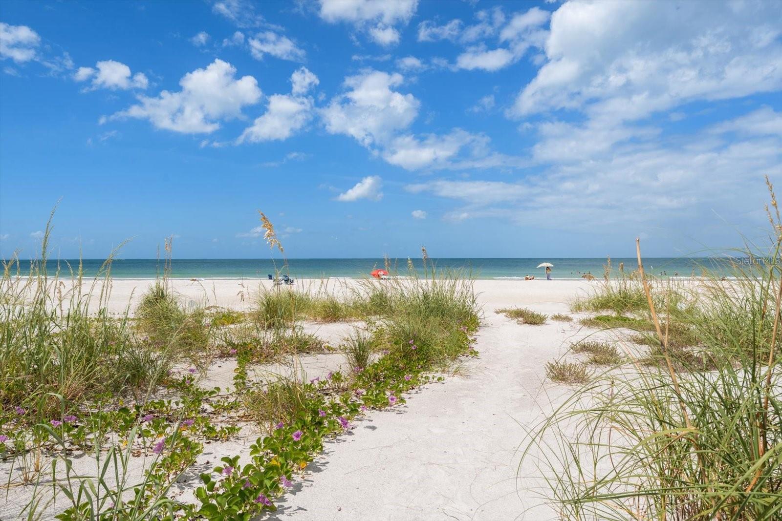 1512 Gulf Blvd Property Photo 80