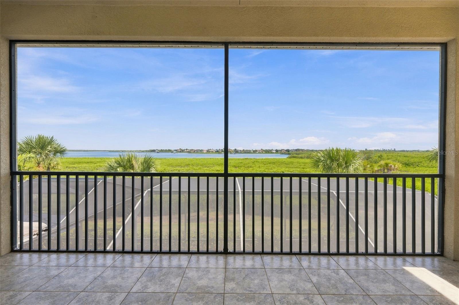 5810 Tidewater Preserve Blvd Property Photo 54