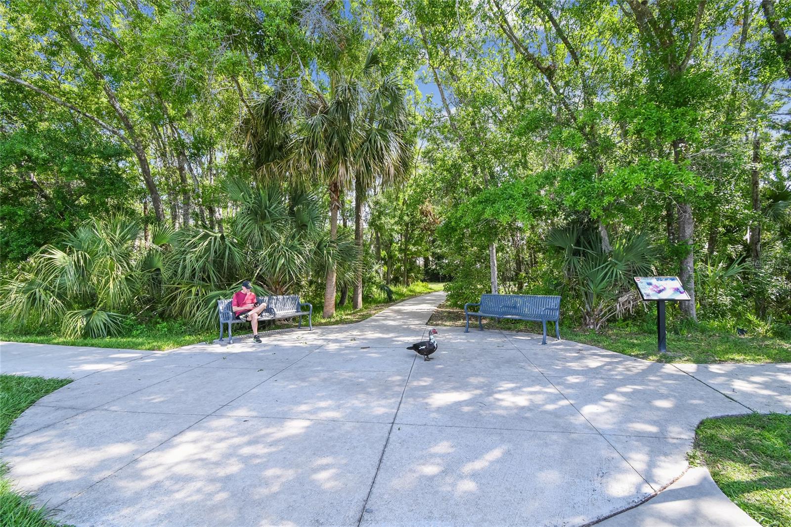 14601 Anchoret Rd Property Photo 23