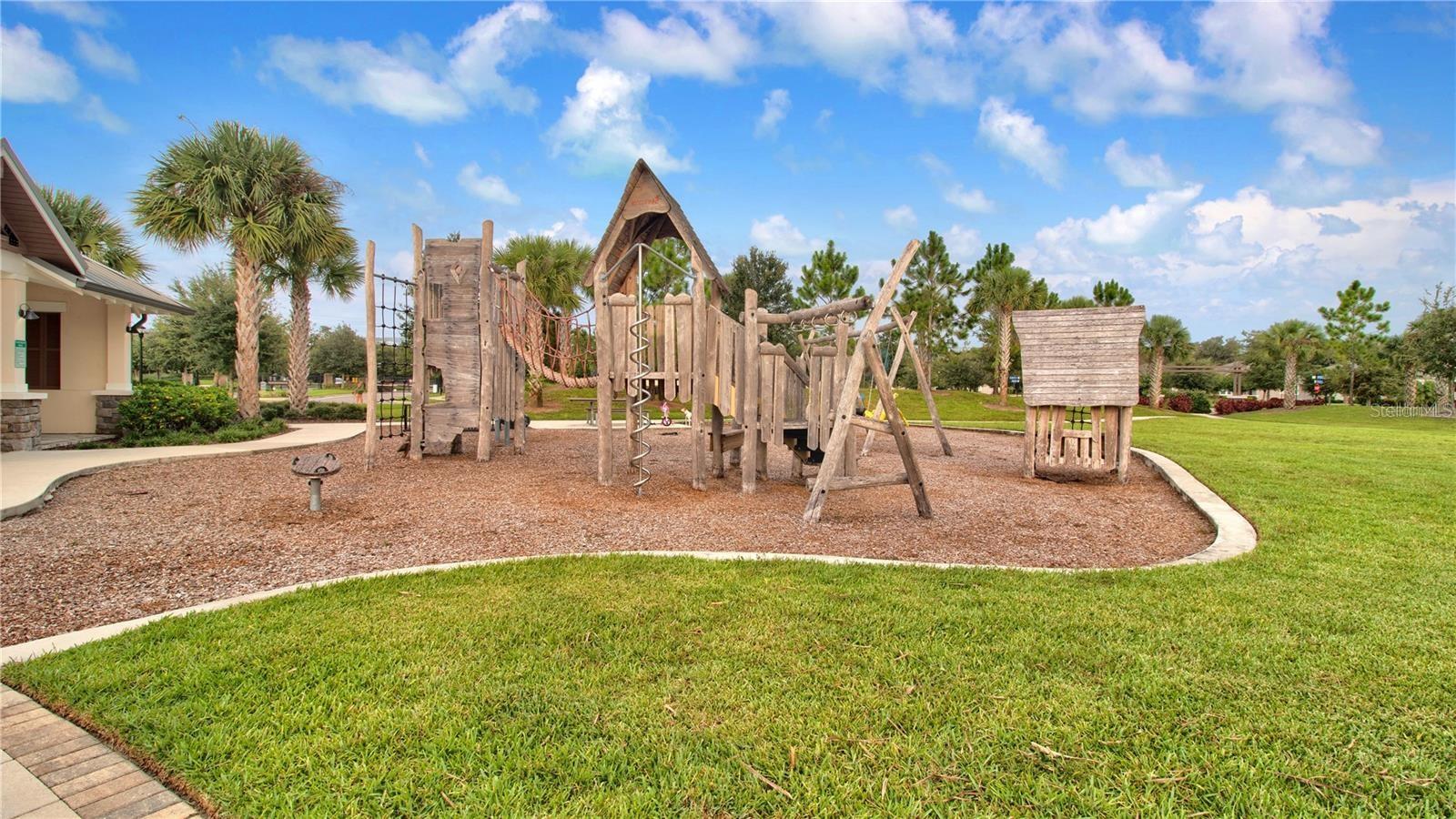 11674 Cambium Crown Dr Property Photo 44