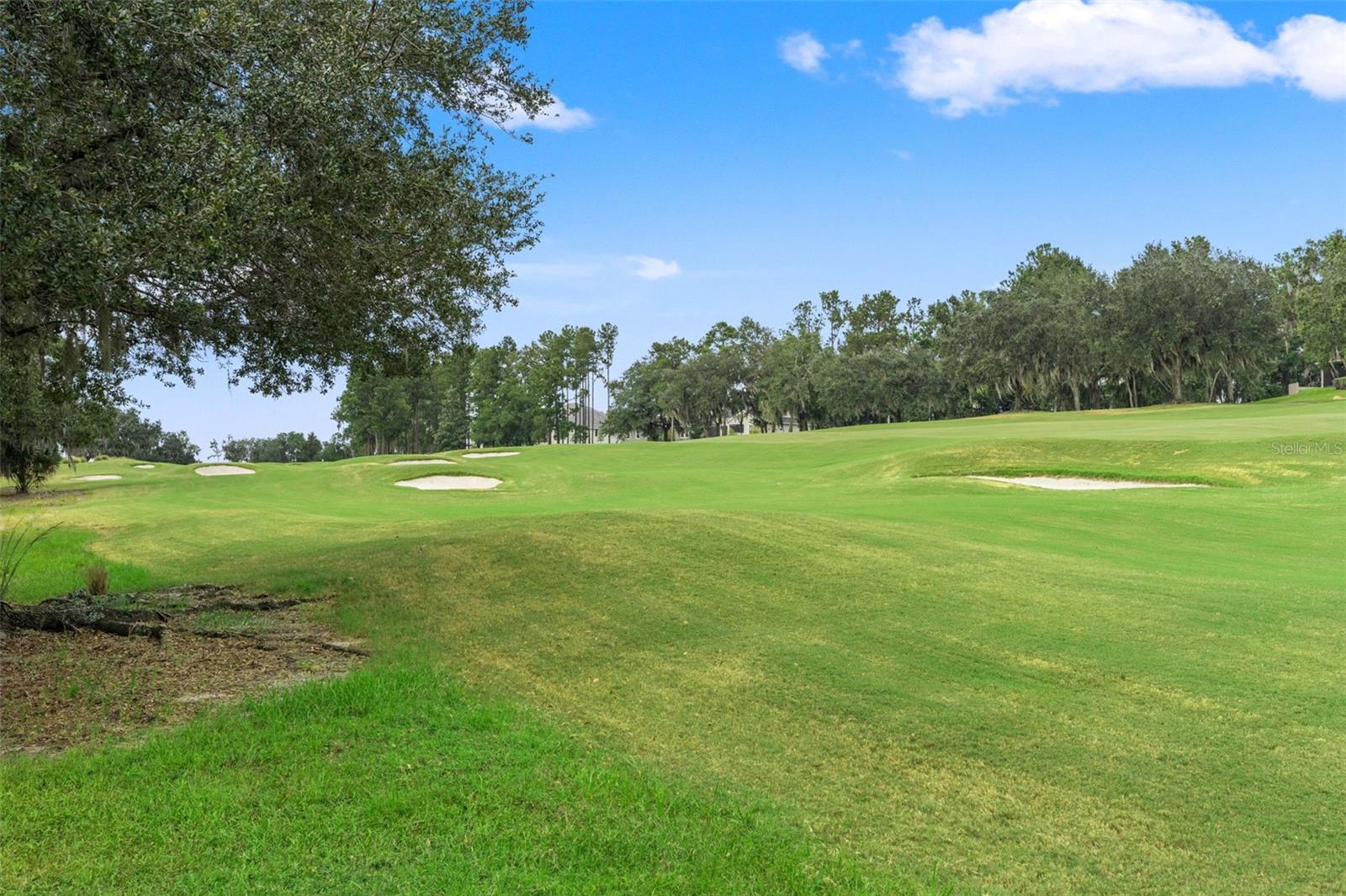 4552 Southern Valley Loop Property Photo 50