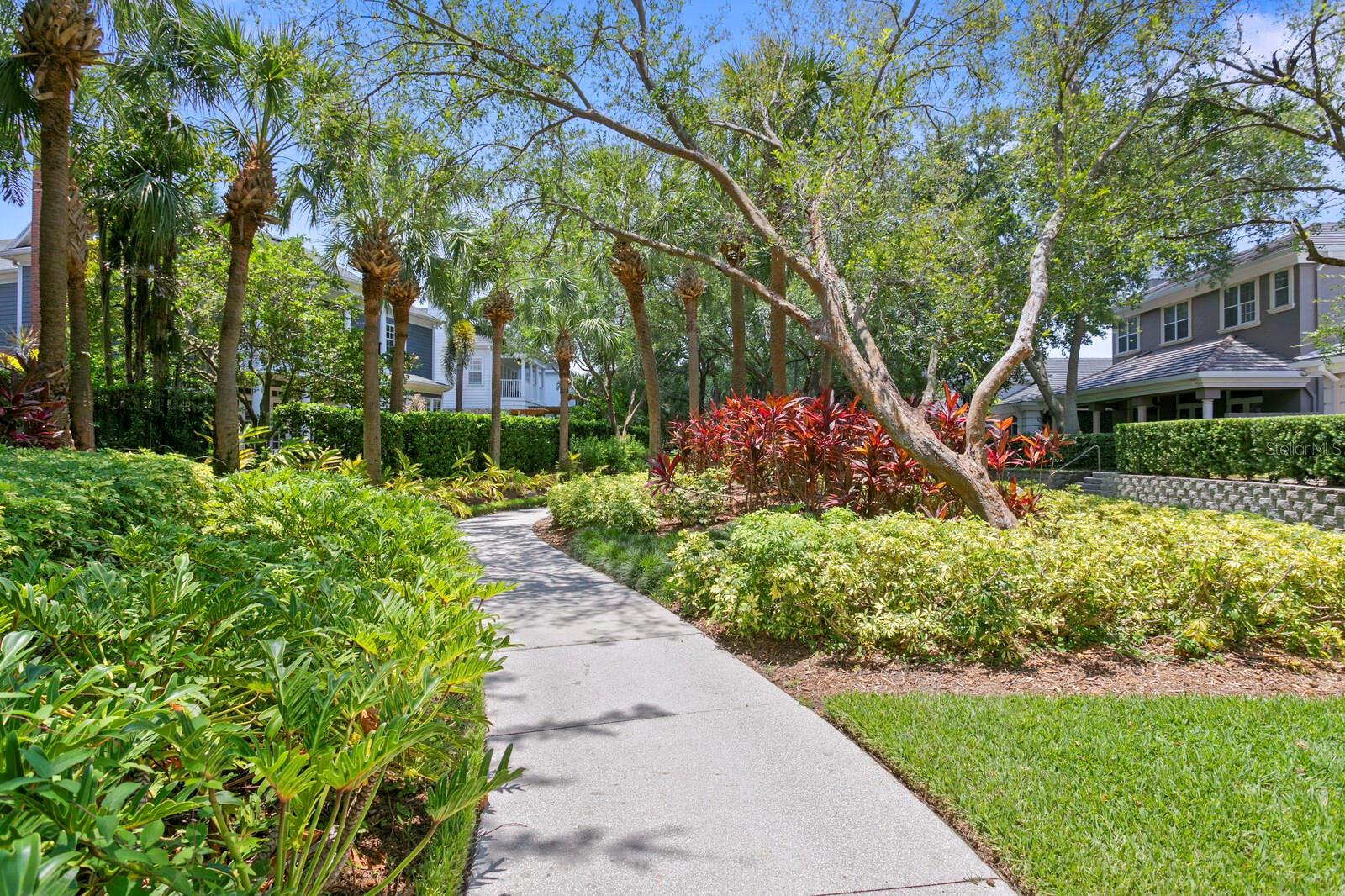 1002 S Harbour Island Blvd #1302 Property Photo 41