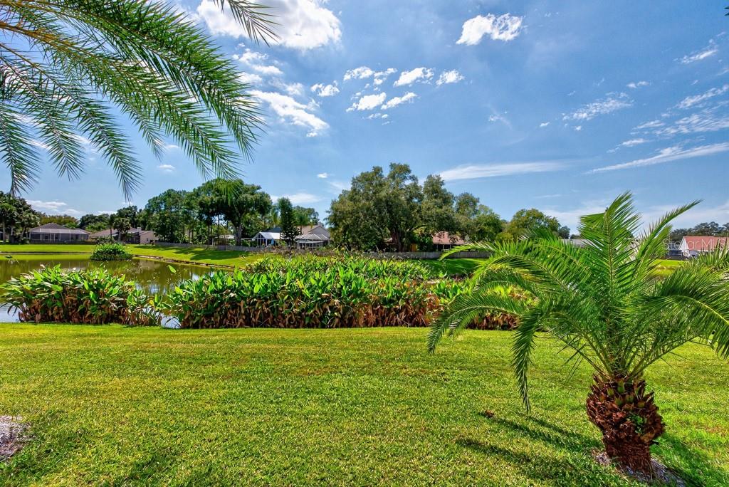 1802 Wakefield Dr Property Photo 54
