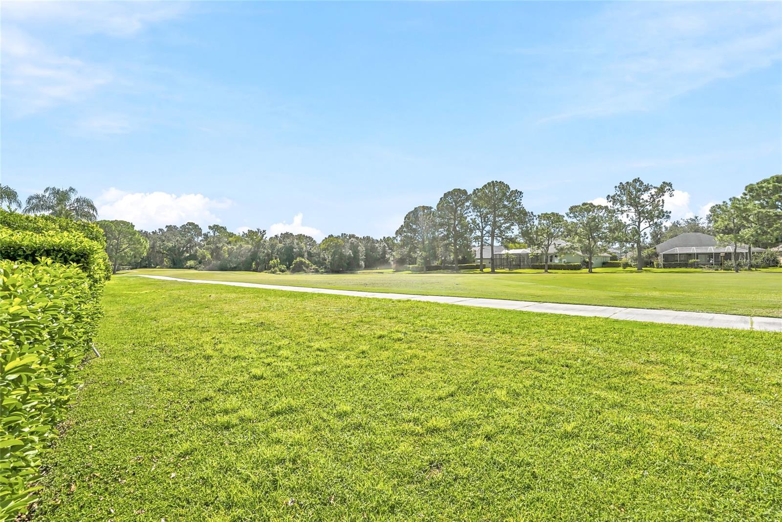 3230 Stonebridge Trl Property Photo 48
