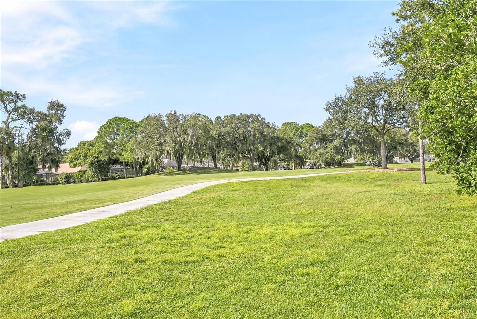 3230 Stonebridge Trl Property Photo 49
