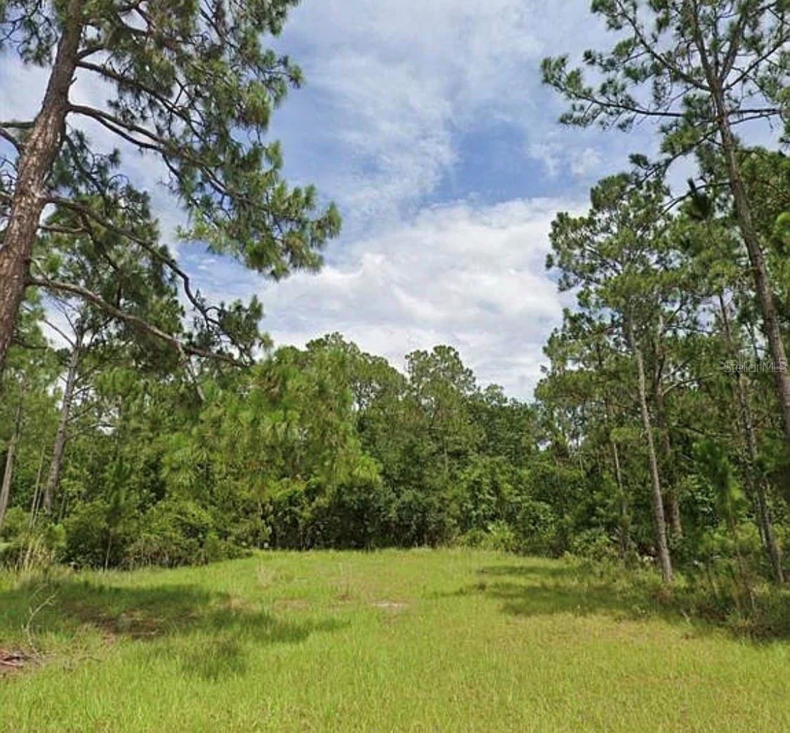 7143 Oak Glen Trl Property Photo 3