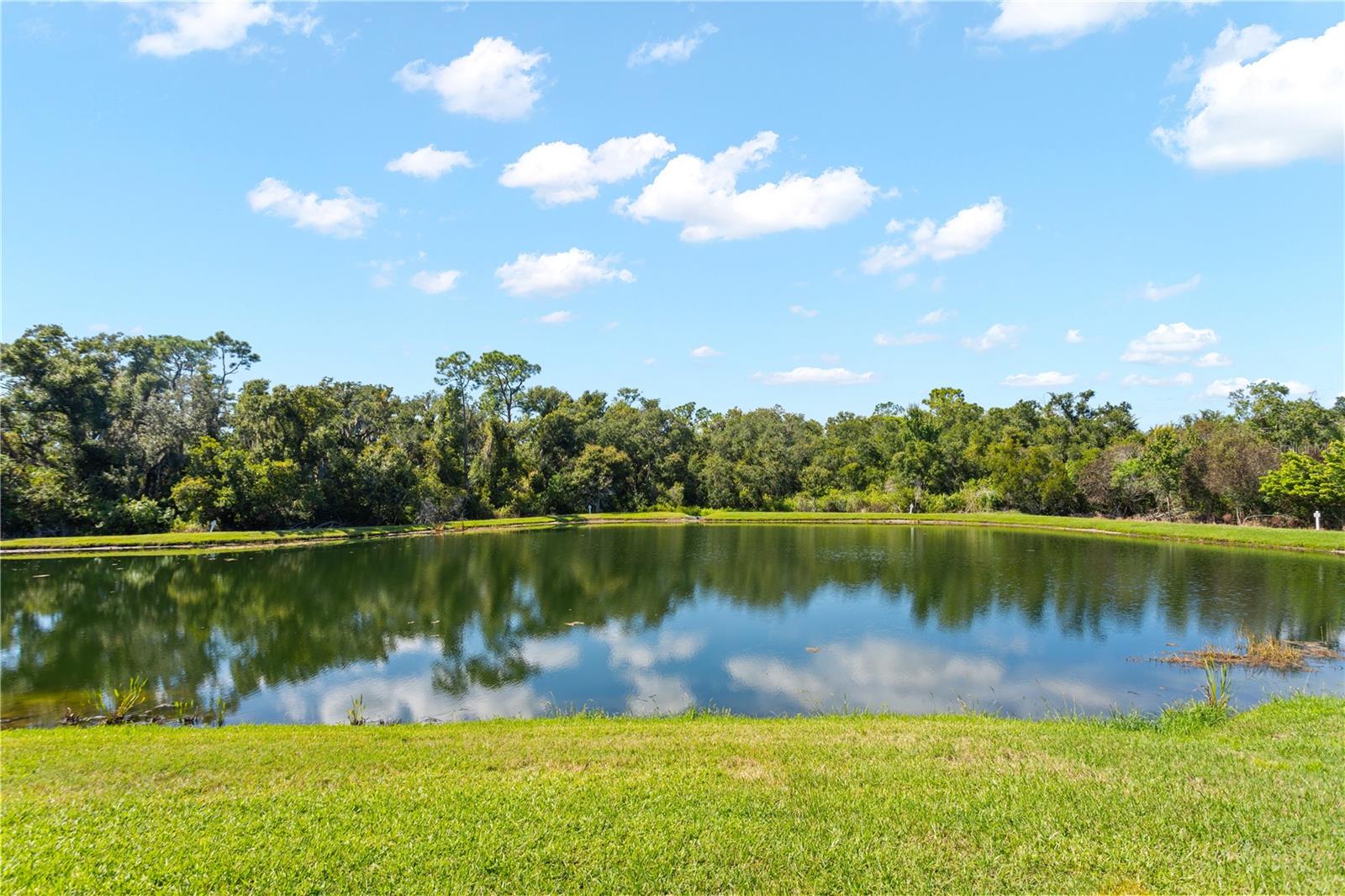4940 Tobermory Way Property Photo 43