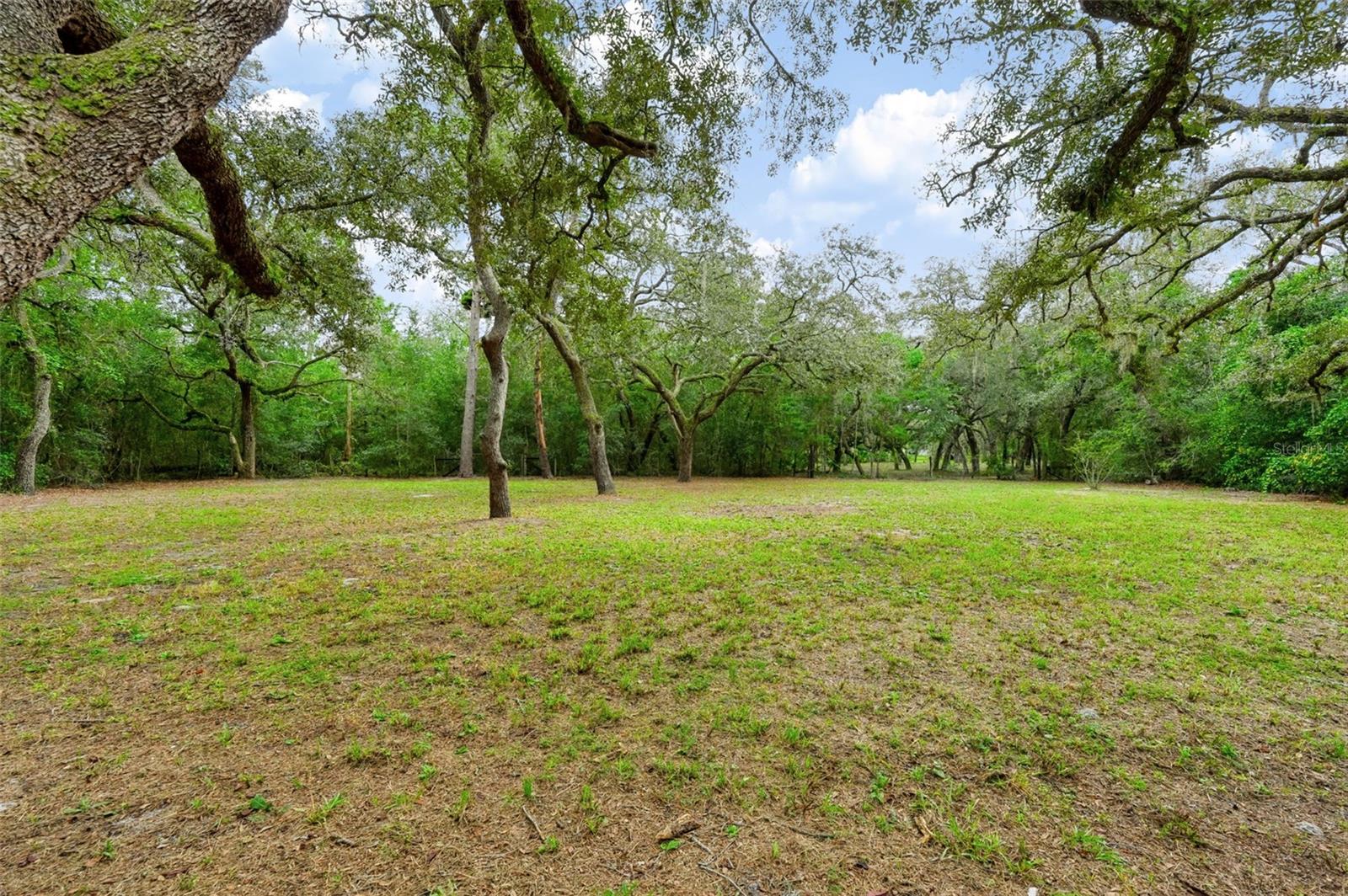 14100 Little Ranch Rd Property Photo 33