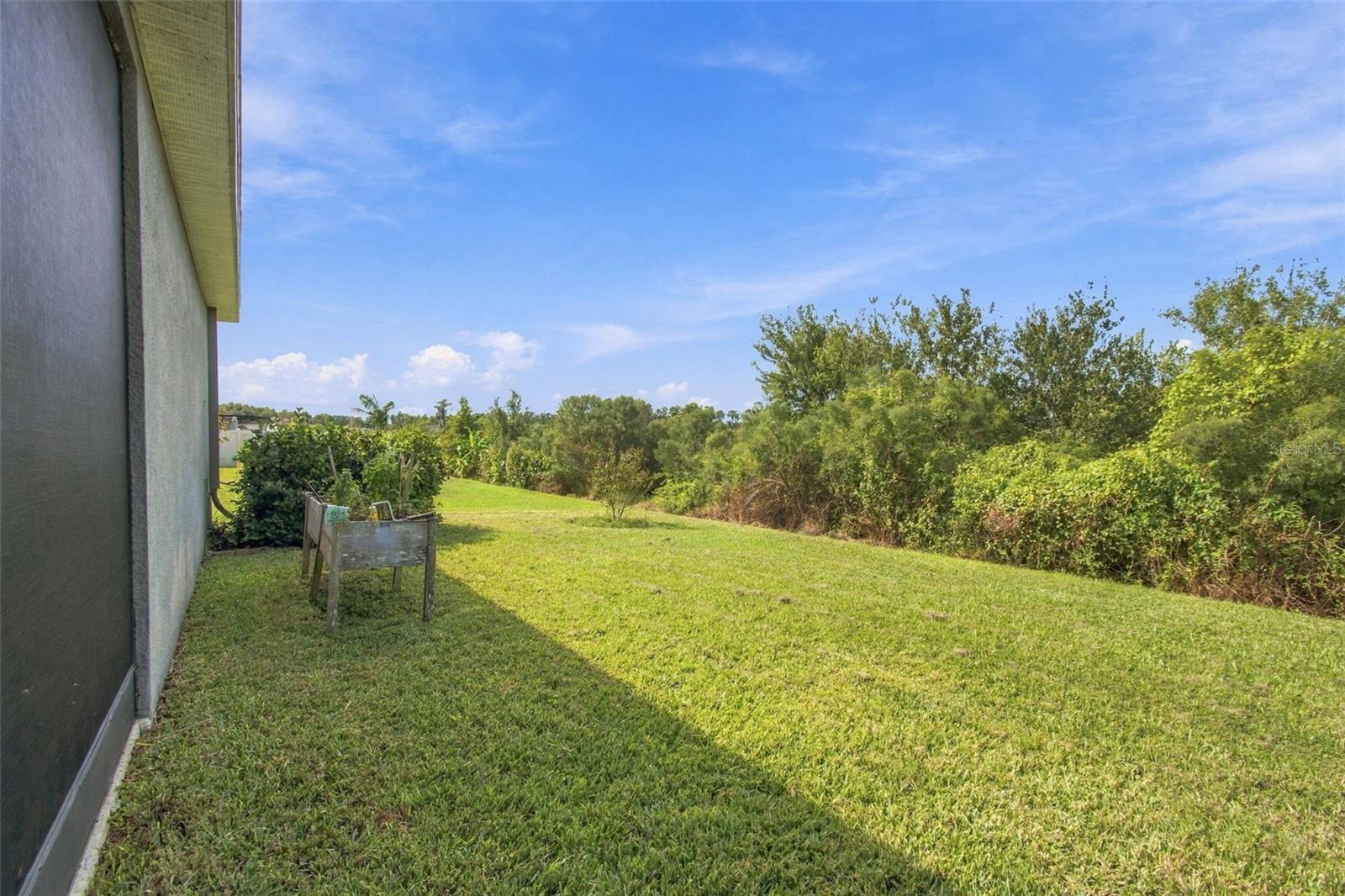 10359 Hawks Landing Dr Property Photo 18