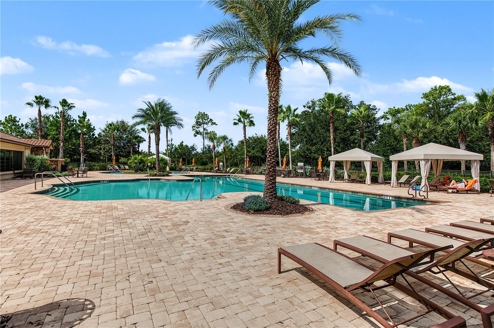 11435 Callisia Dr Property Photo 41