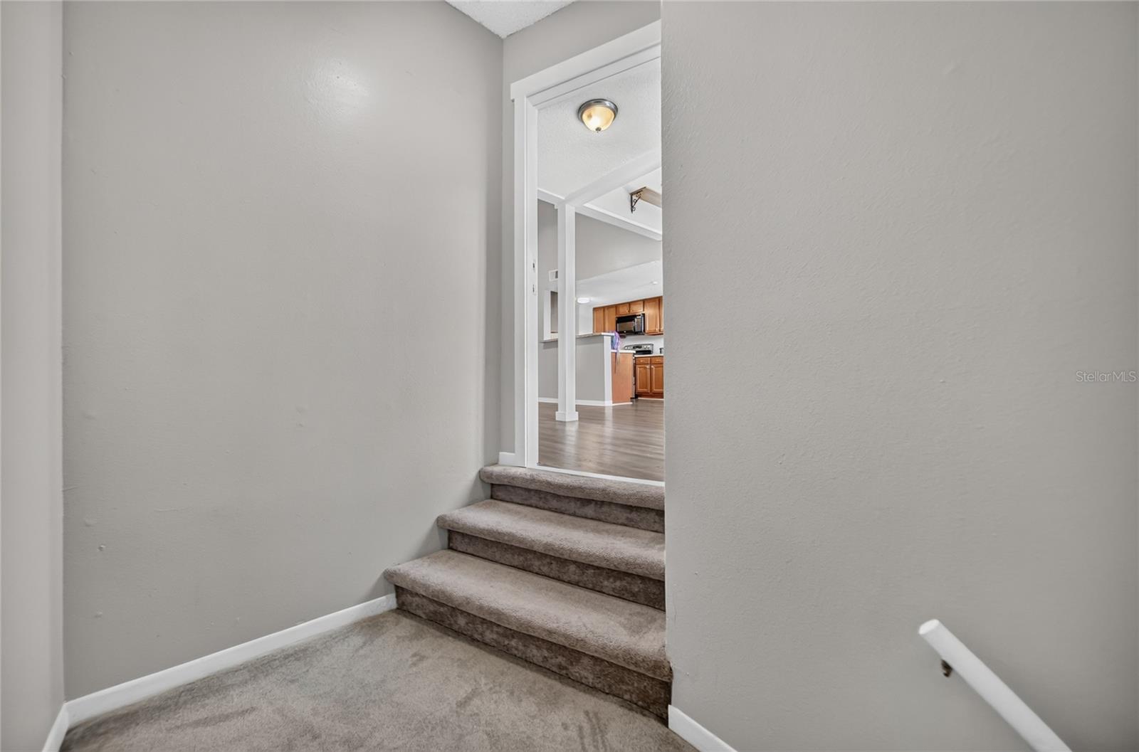 12145 Armenia Gables Cir Property Photo 7