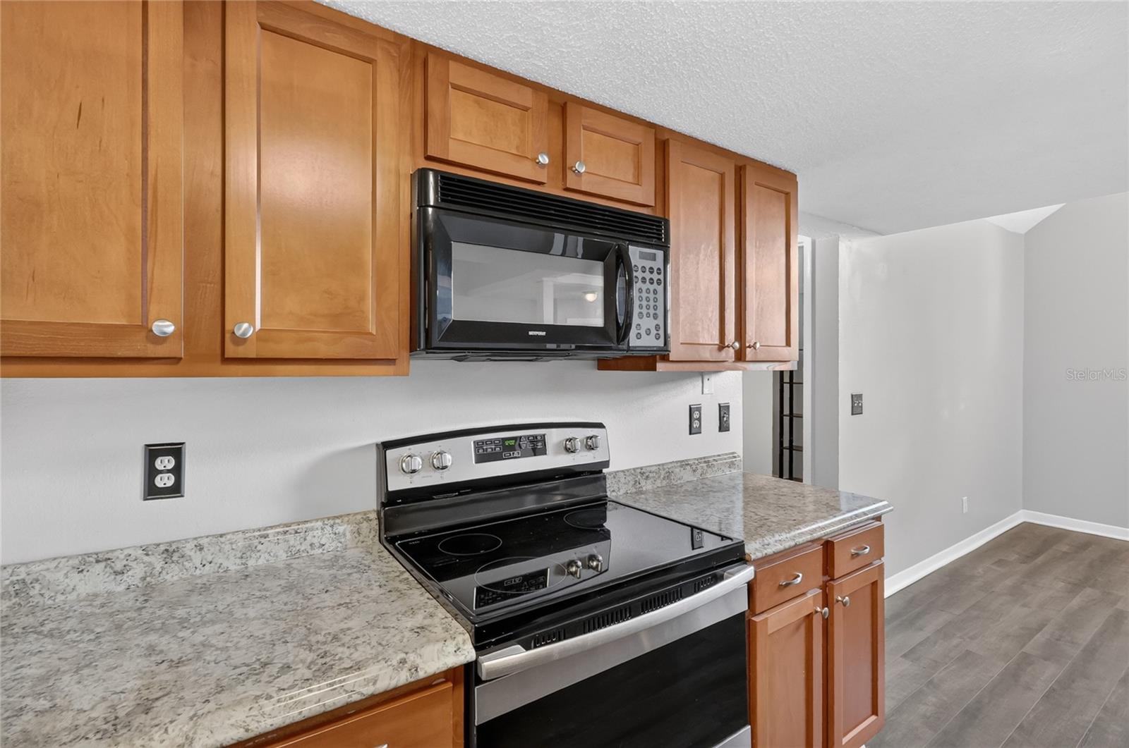 12145 Armenia Gables Cir Property Photo 23