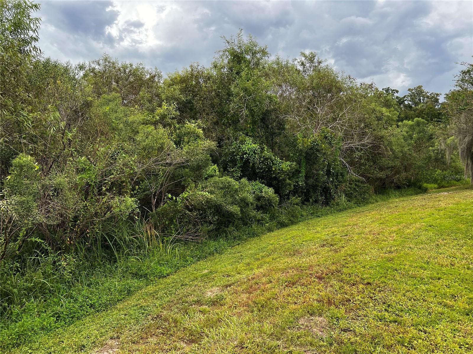 27606 Sky Lake Cir Property Photo 15