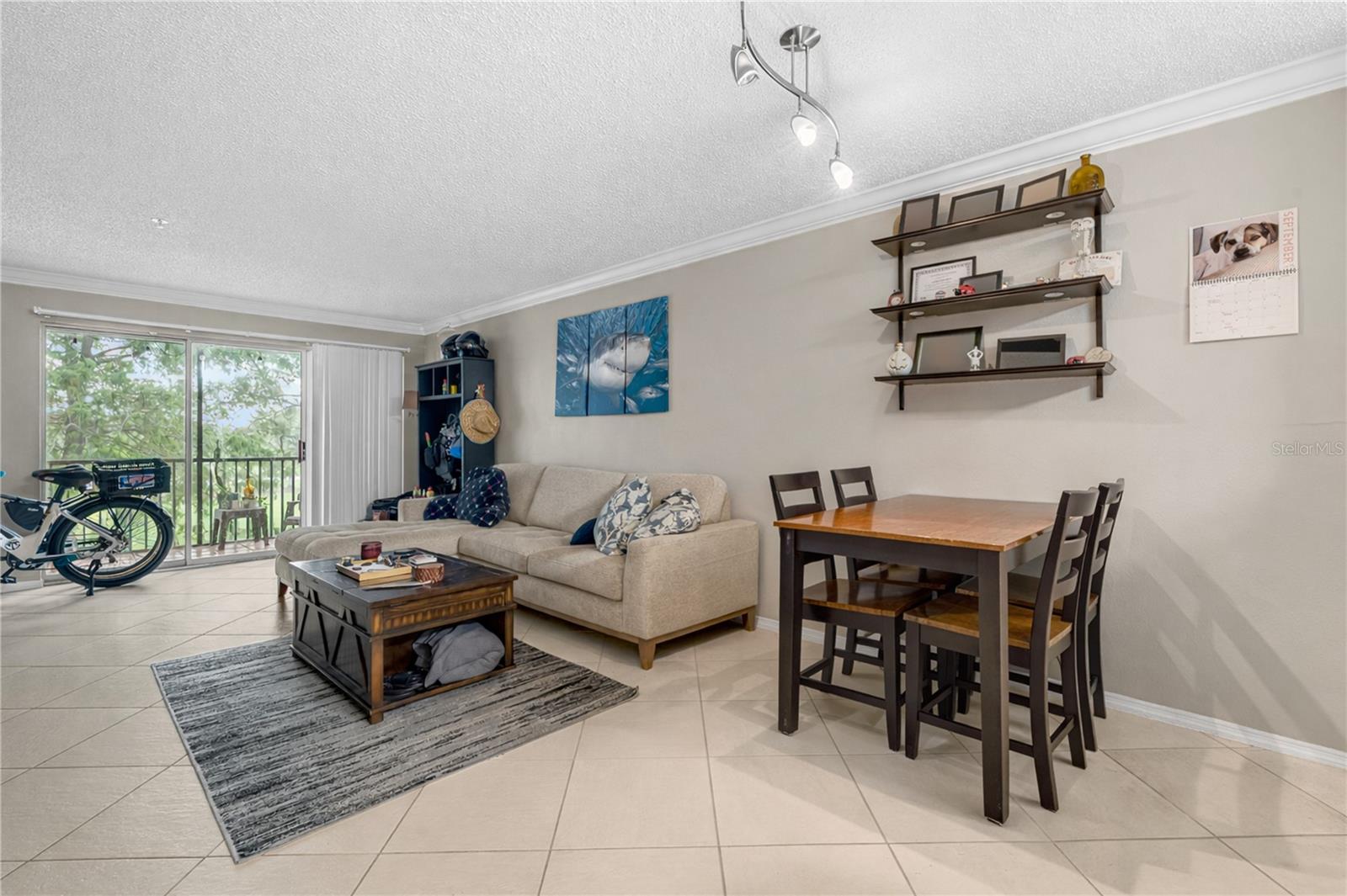 2400 Feather Sound Dr #425 Property Photo 13
