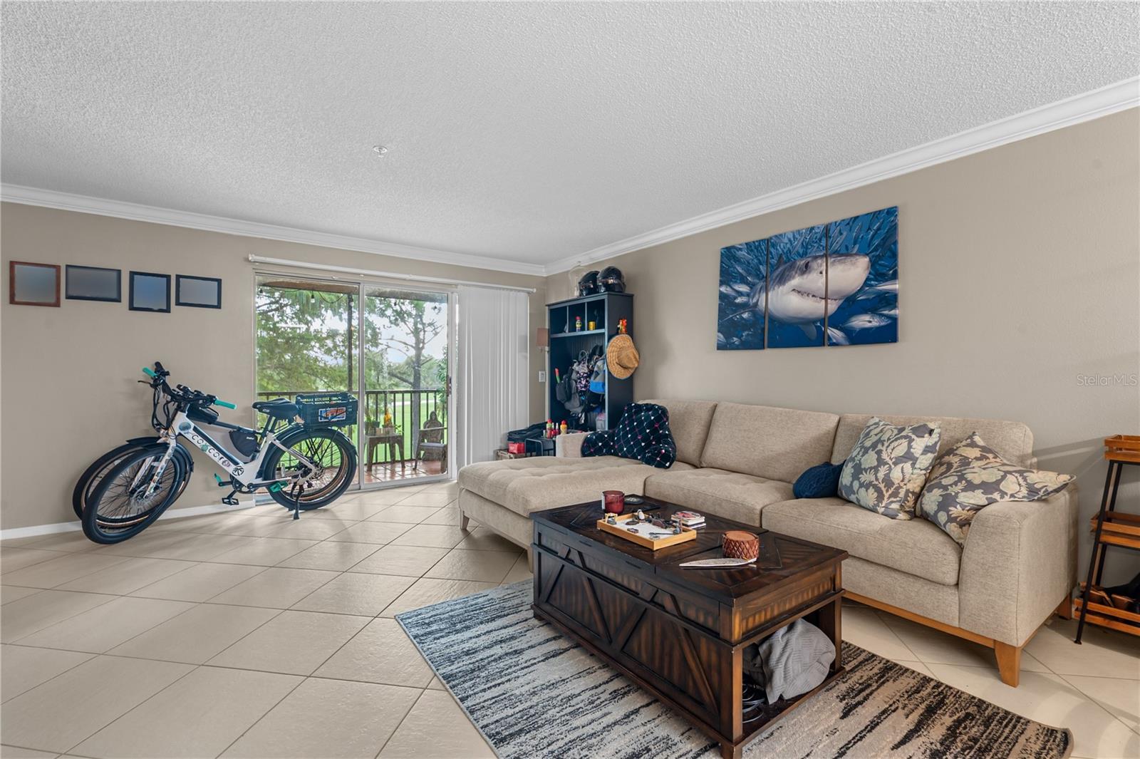 2400 Feather Sound Dr #425 Property Photo 15
