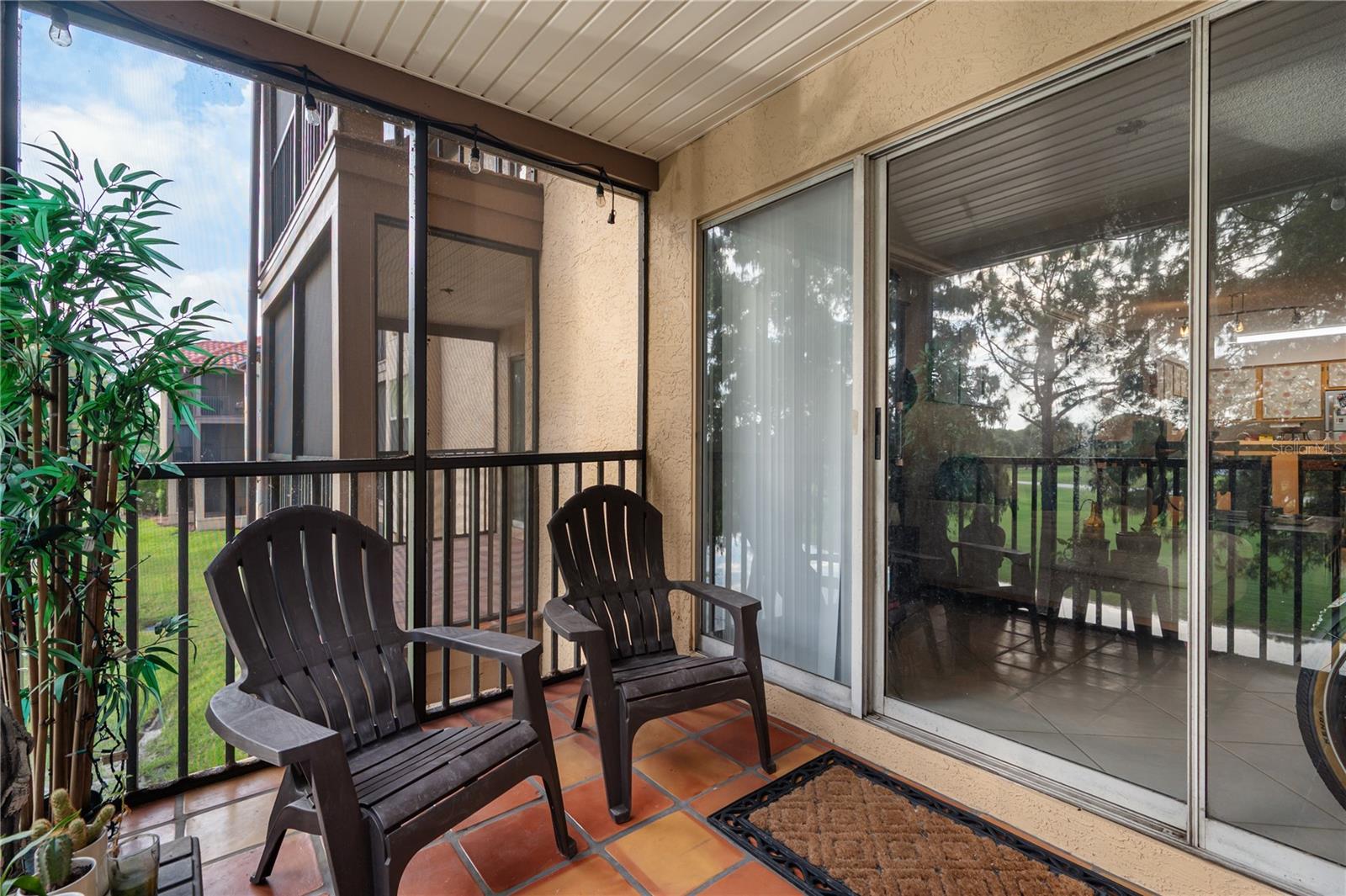 2400 Feather Sound Dr #425 Property Photo 23