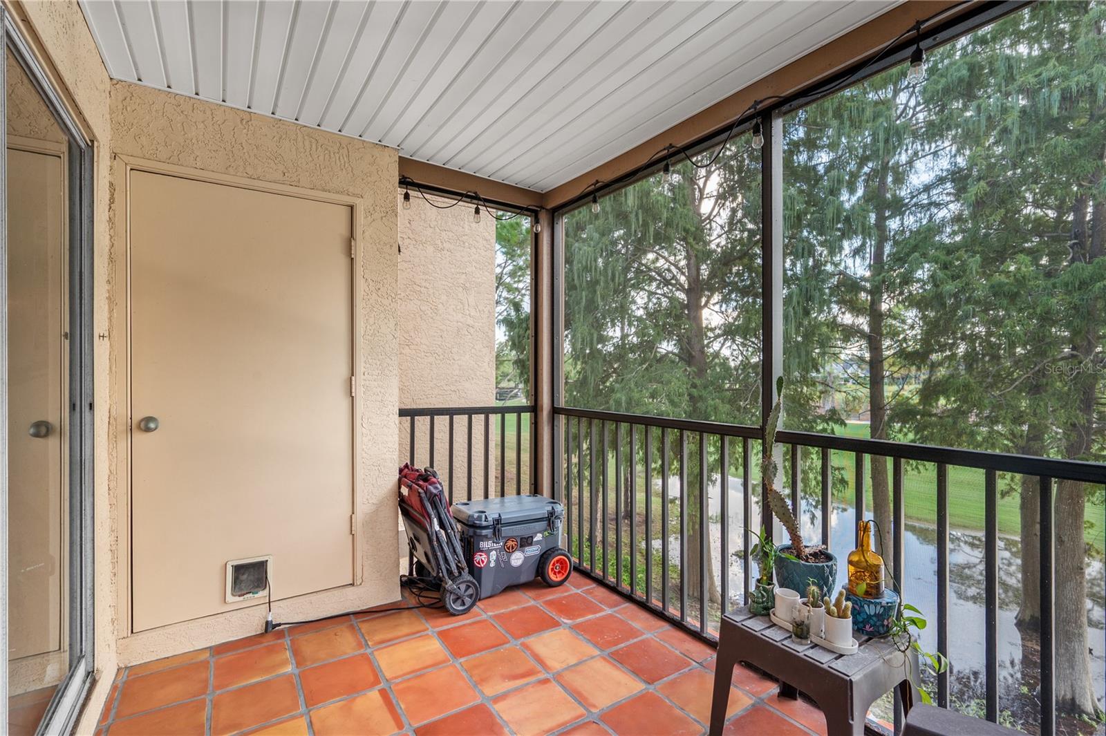 2400 Feather Sound Dr #425 Property Photo 25