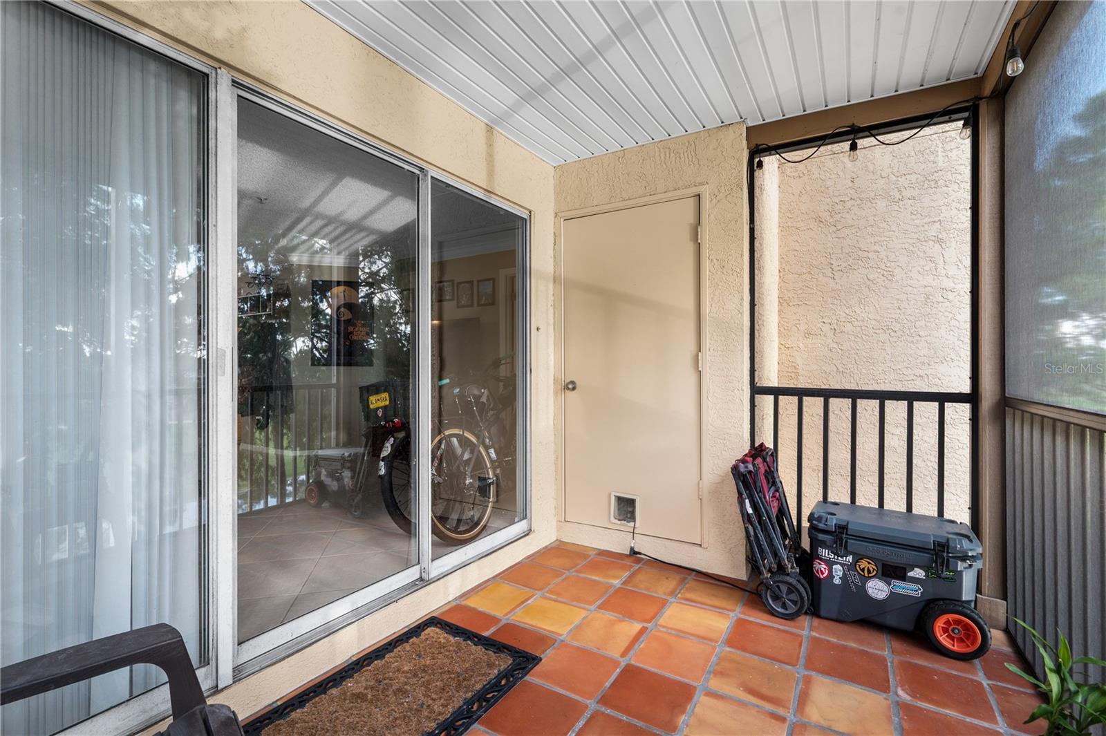 2400 Feather Sound Dr #425 Property Photo 26