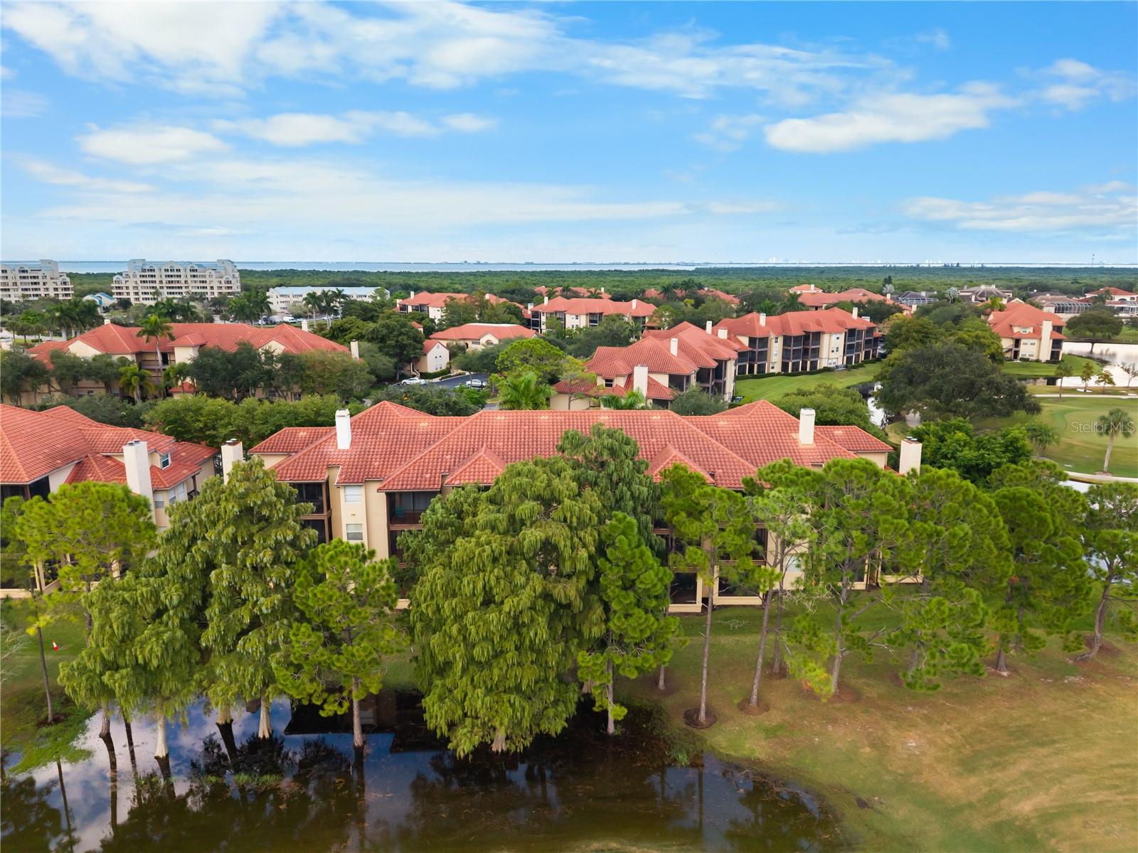 2400 Feather Sound Dr #425 Property Photo 33