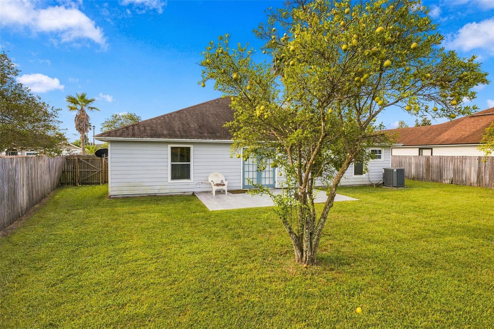 3180 Fox Squirrel Dr Property Photo 44