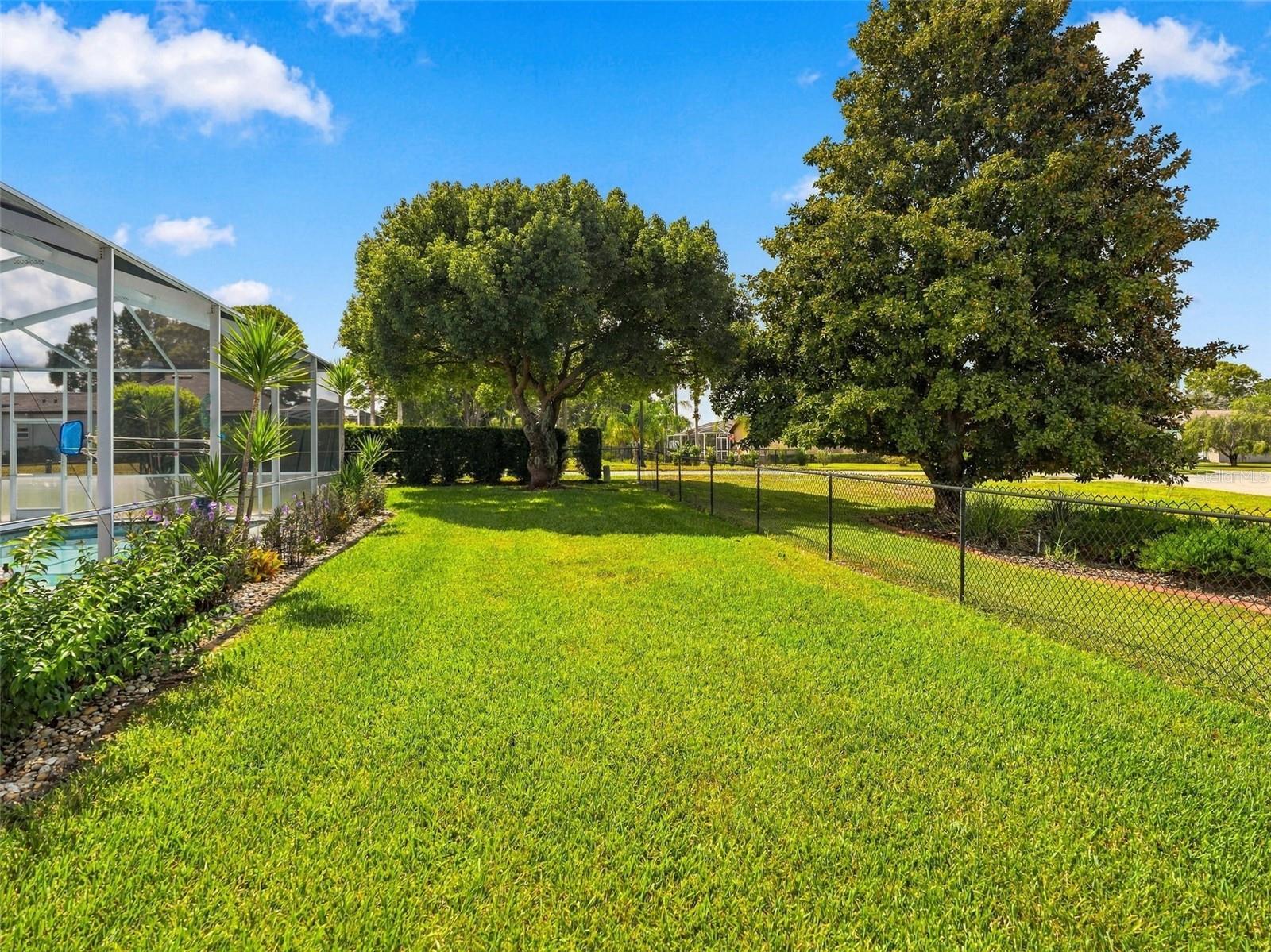 3542 Conifer Loop Property Photo 47