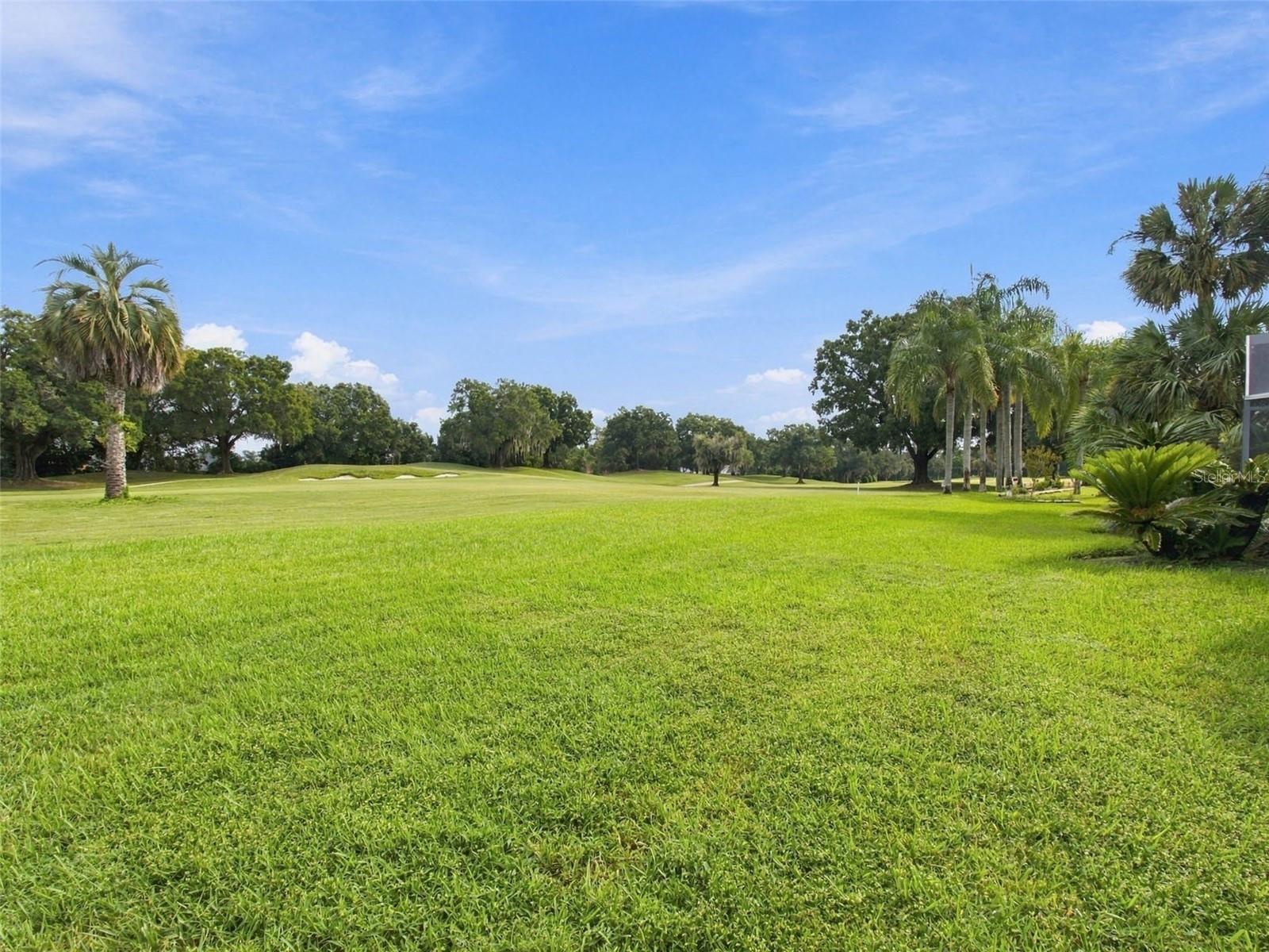 30311 Fairway Dr Property Photo 74