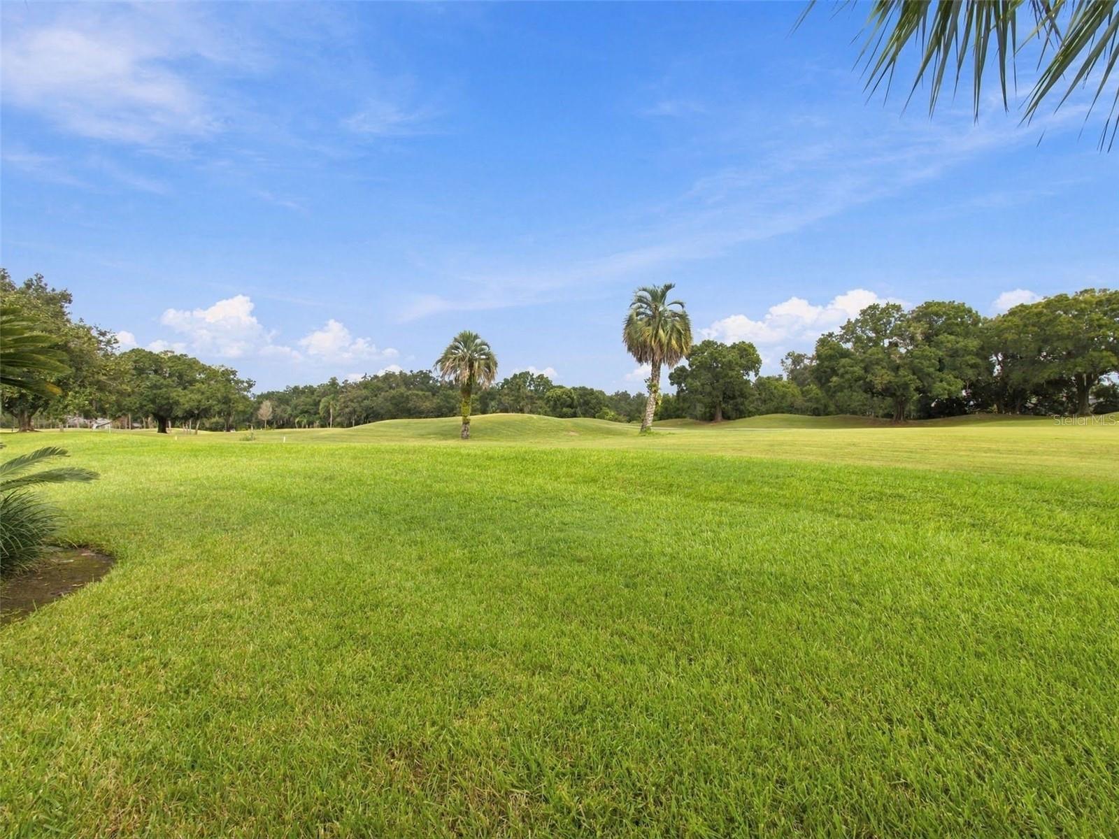 30311 Fairway Dr Property Photo 77