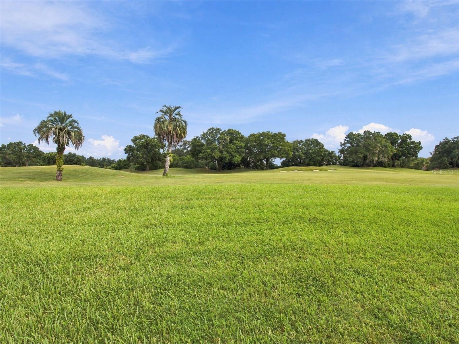 30311 Fairway Dr Property Photo 78
