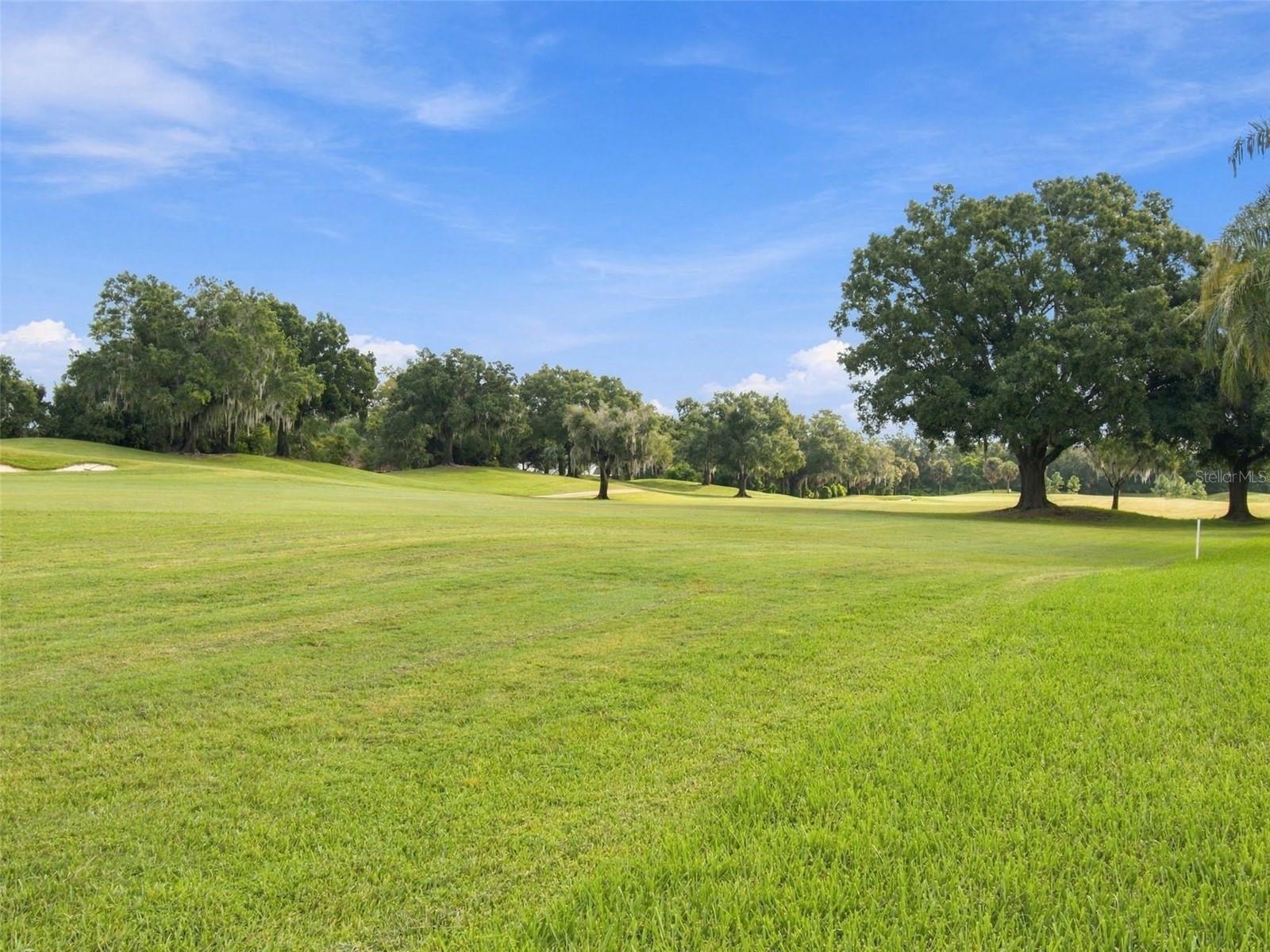 30311 Fairway Dr Property Photo 79