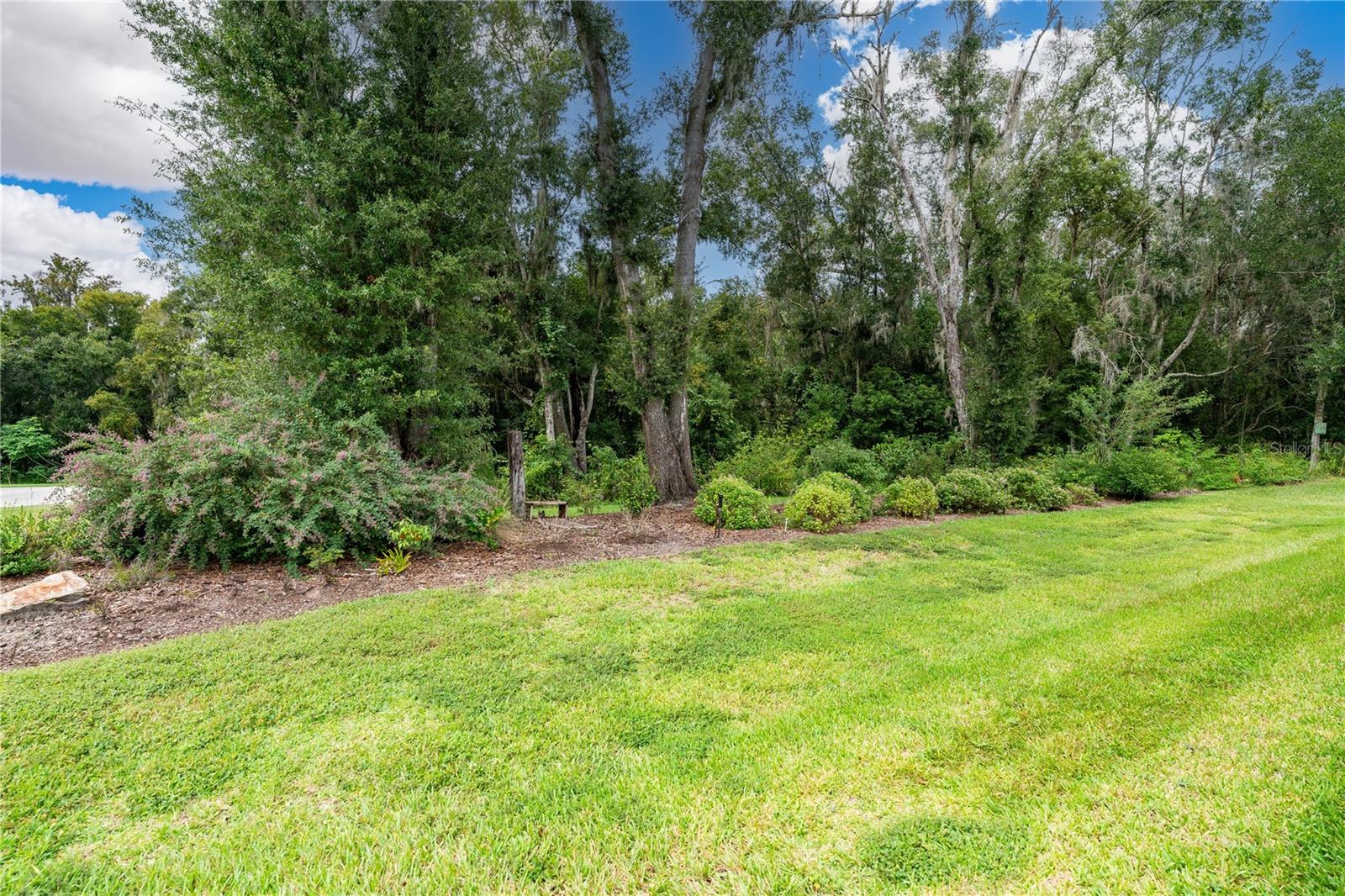 13303 Trailing Moss Dr Property Photo 10