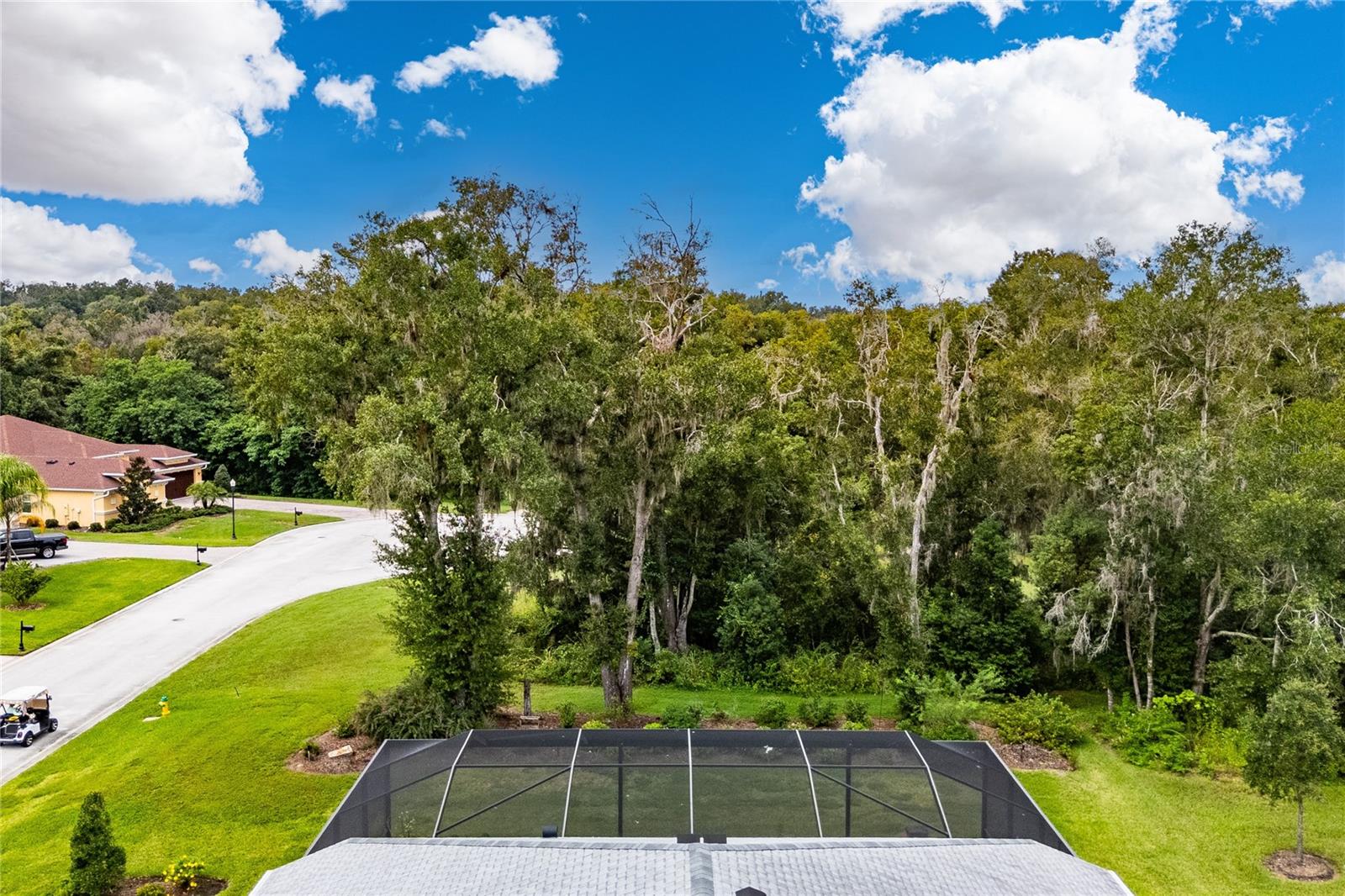 13303 Trailing Moss Dr Property Photo 63