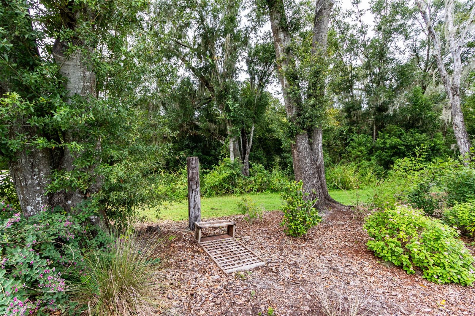 13303 Trailing Moss Dr Property Photo 73