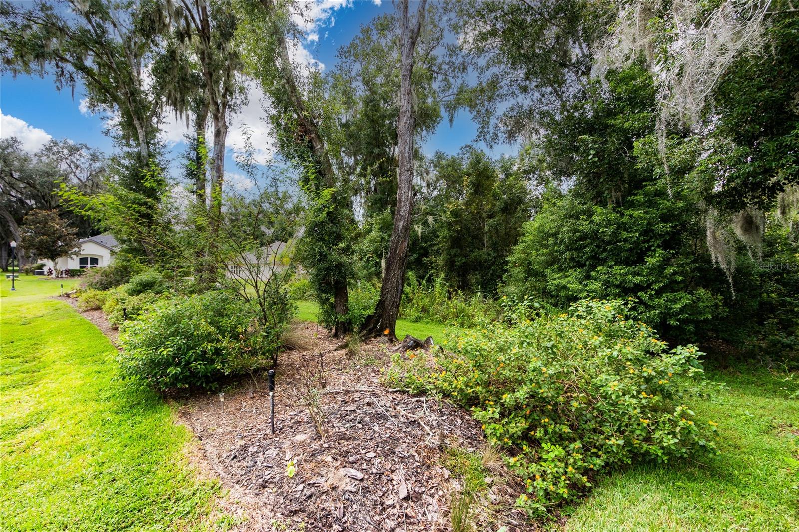 13303 Trailing Moss Dr Property Photo 86