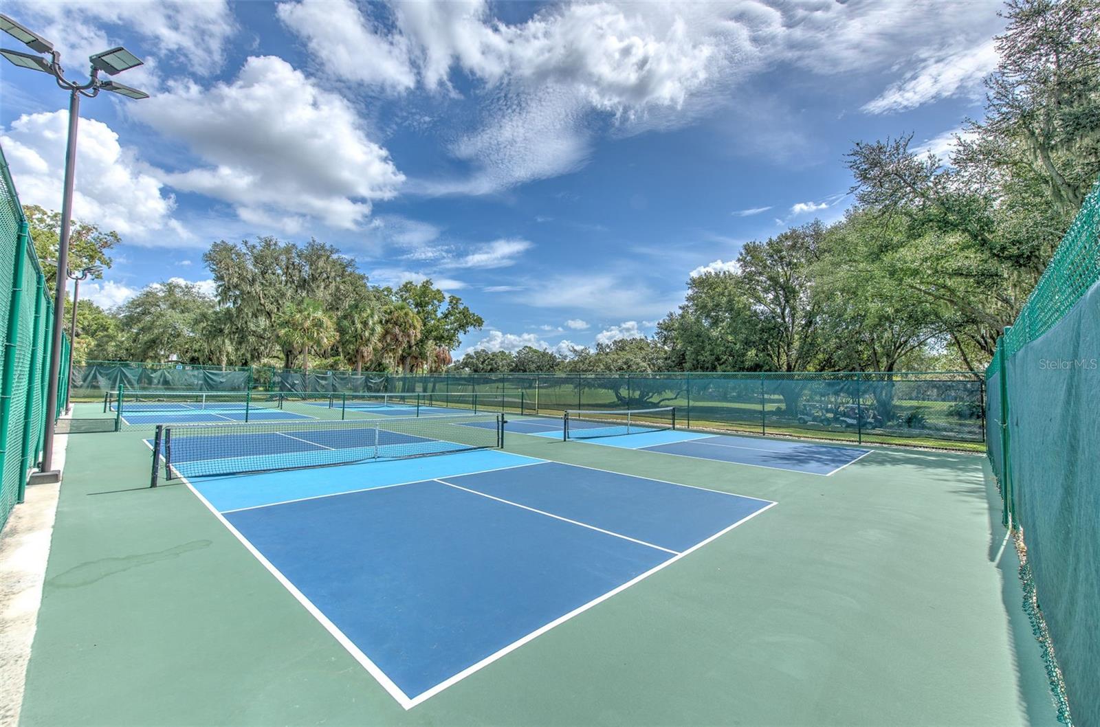 3325 Cypress Landing Dr Property Photo 57